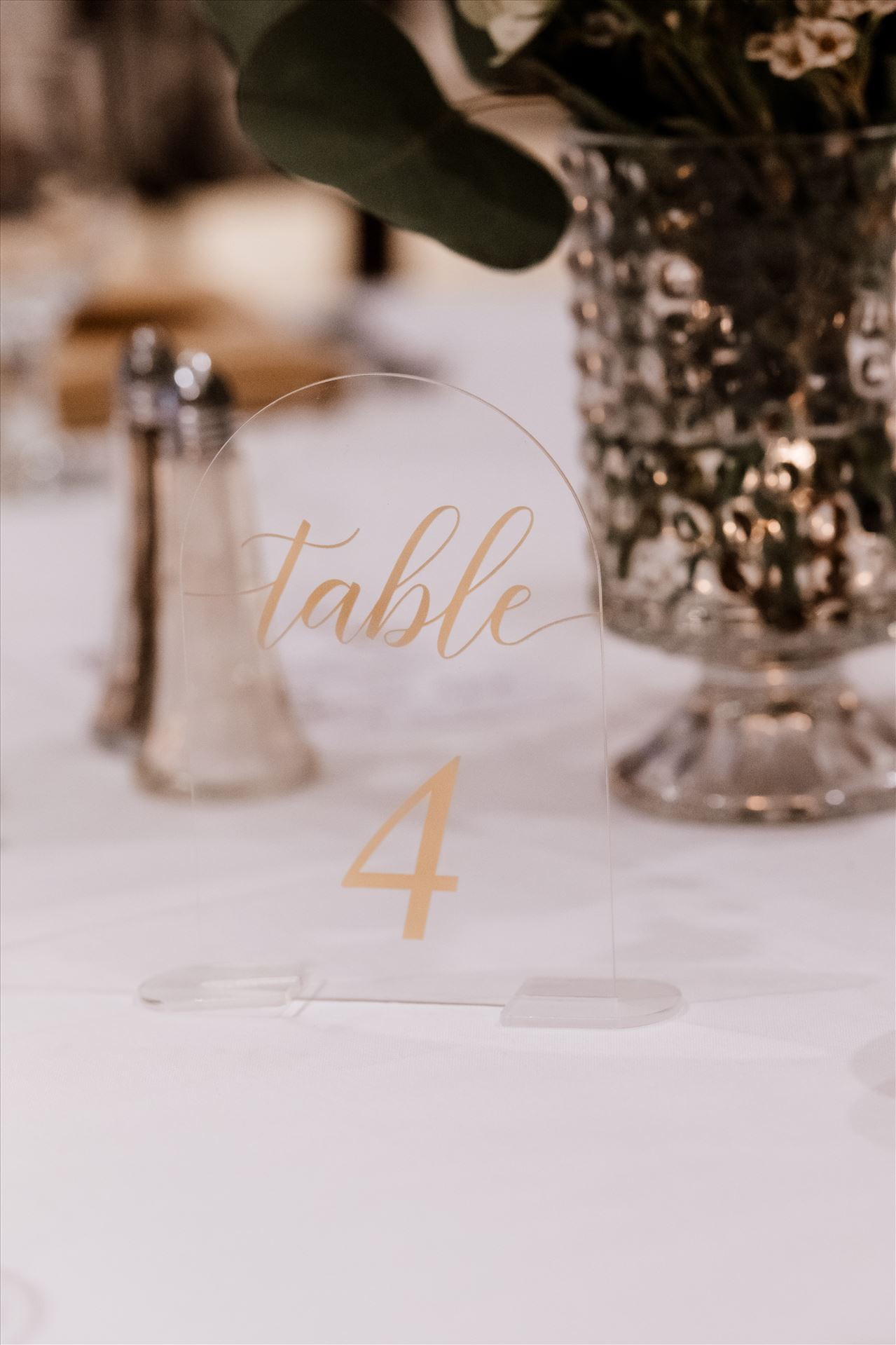 Final-0645.jpg  by Sarah Williams