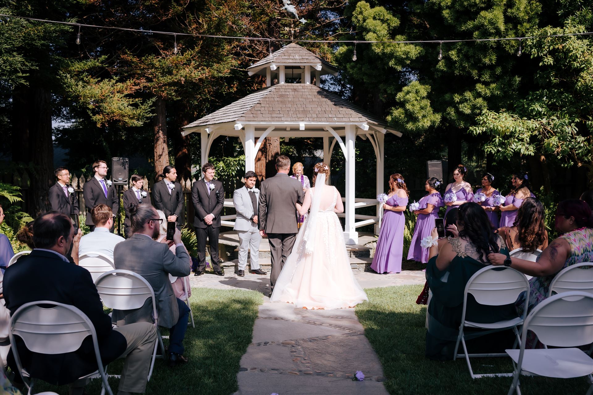 WF-0698.JPG  by Sarah Williams