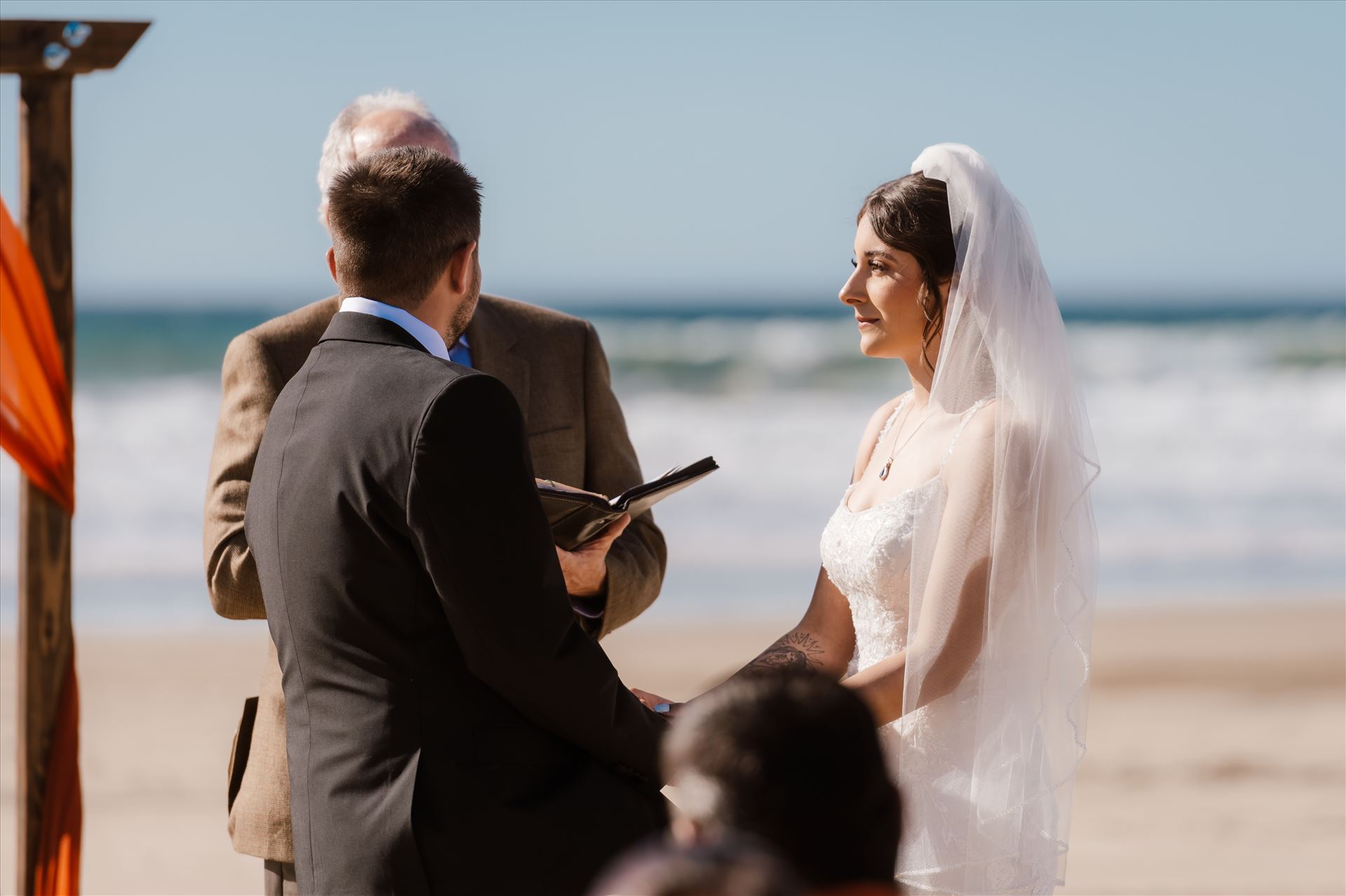 Final-4175.jpg  by Sarah Williams