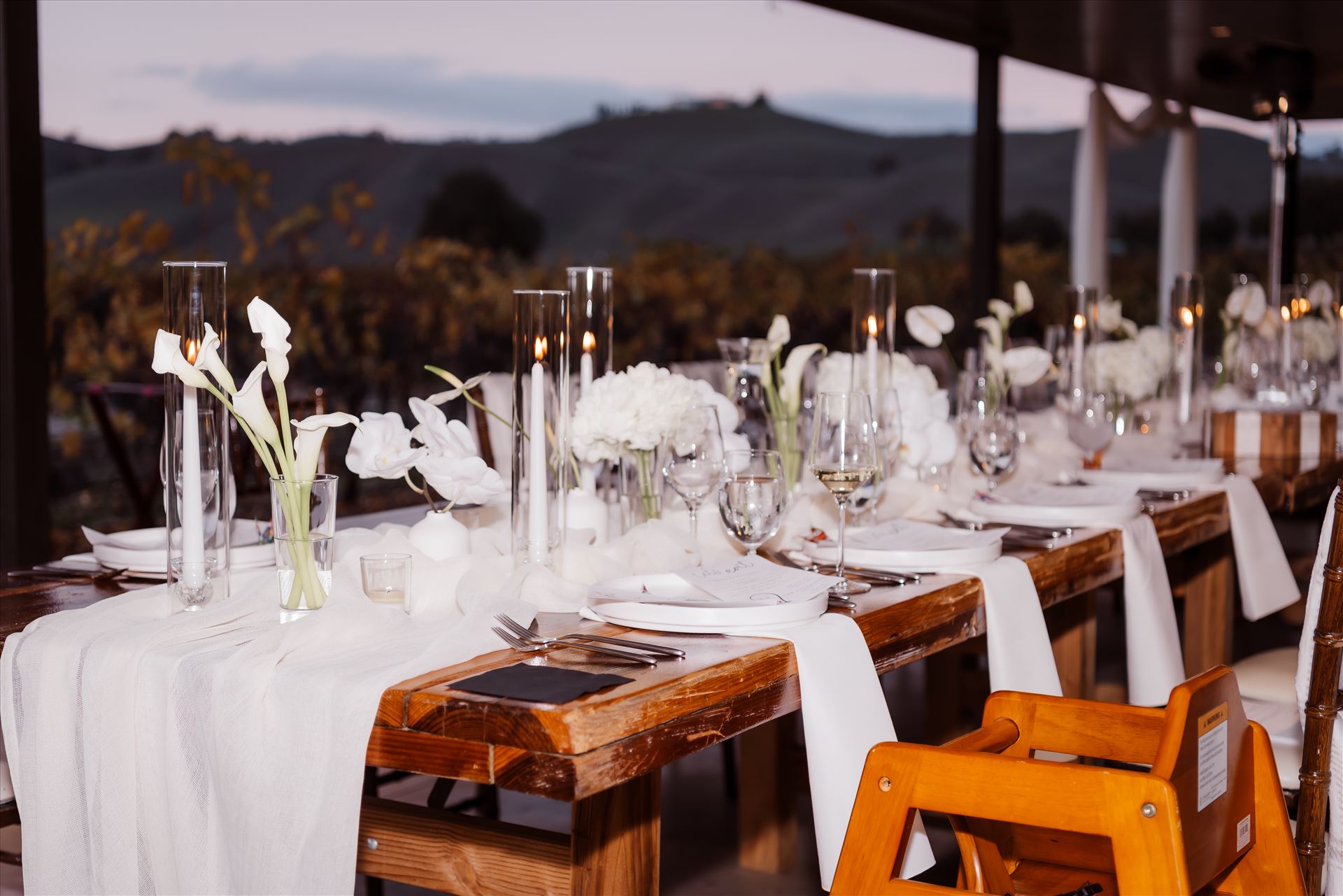 Final-9376.jpg  by Sarah Williams