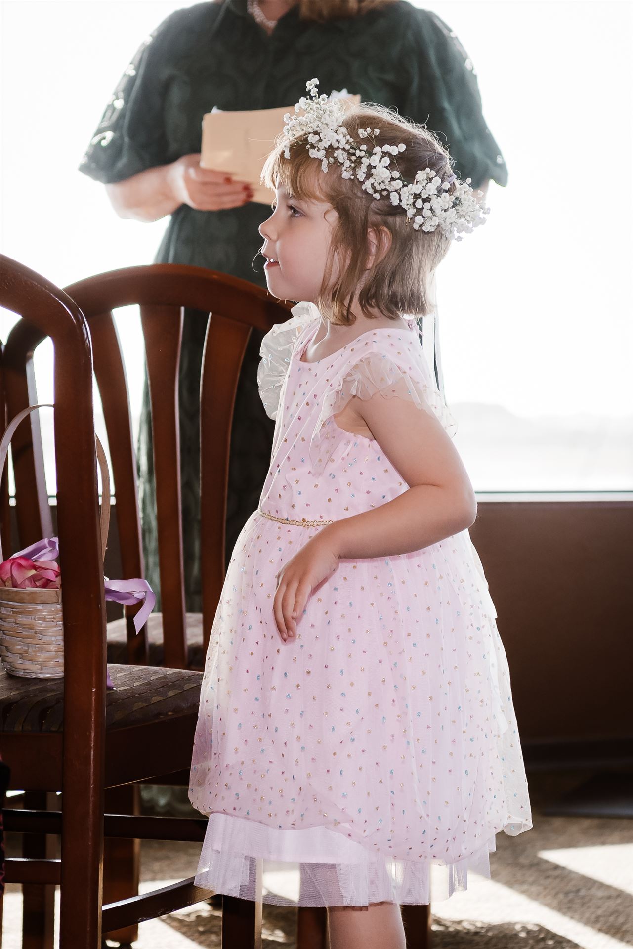 Final-7516.jpg  by Sarah Williams