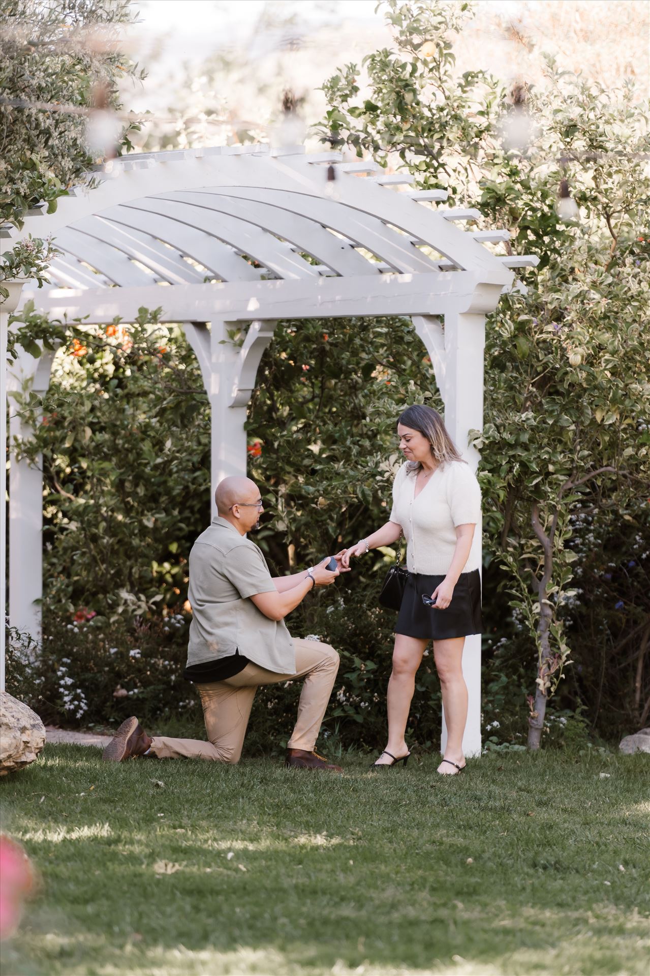 Final-5158.jpg  by Sarah Williams