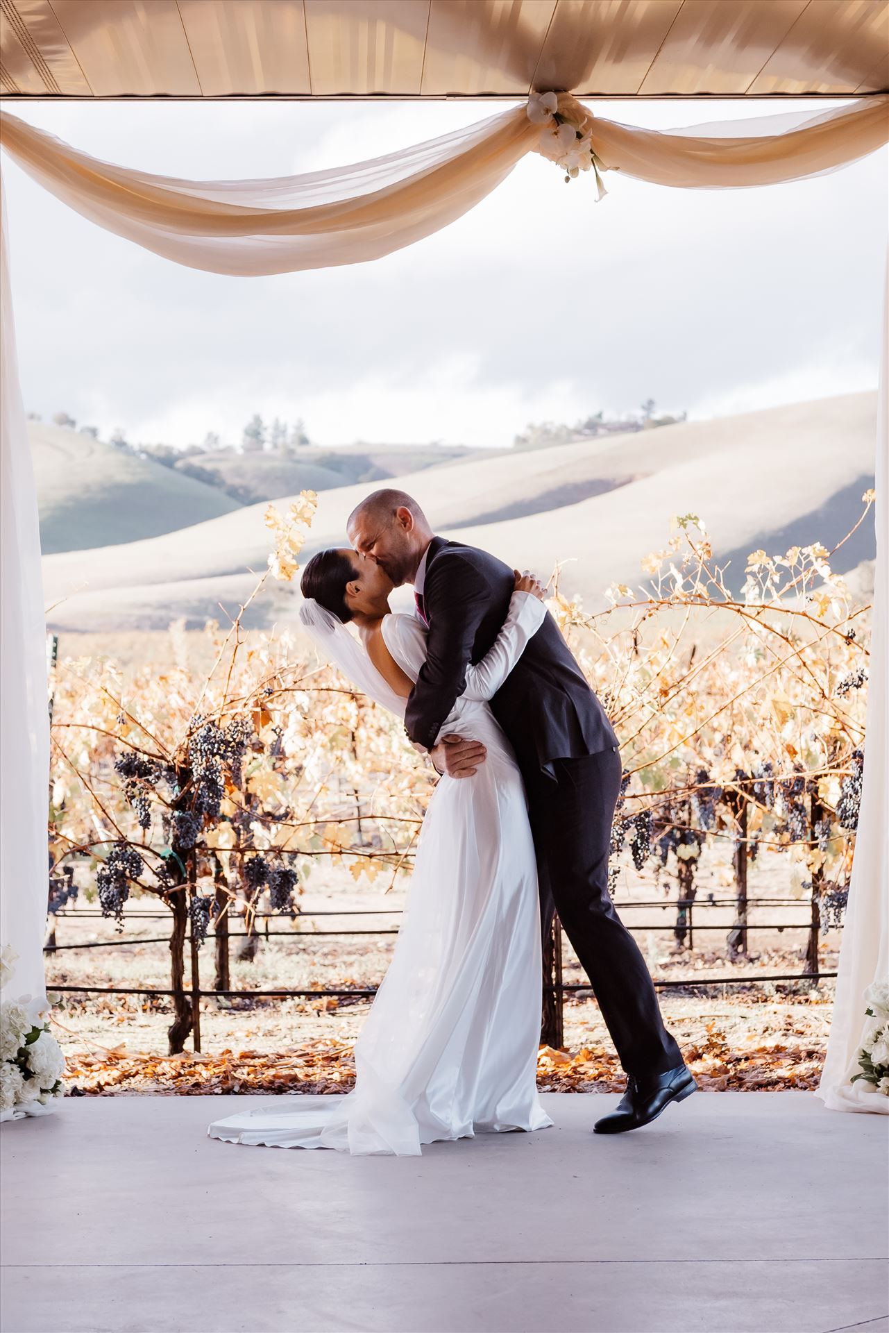 Final-9142.jpg  by Sarah Williams