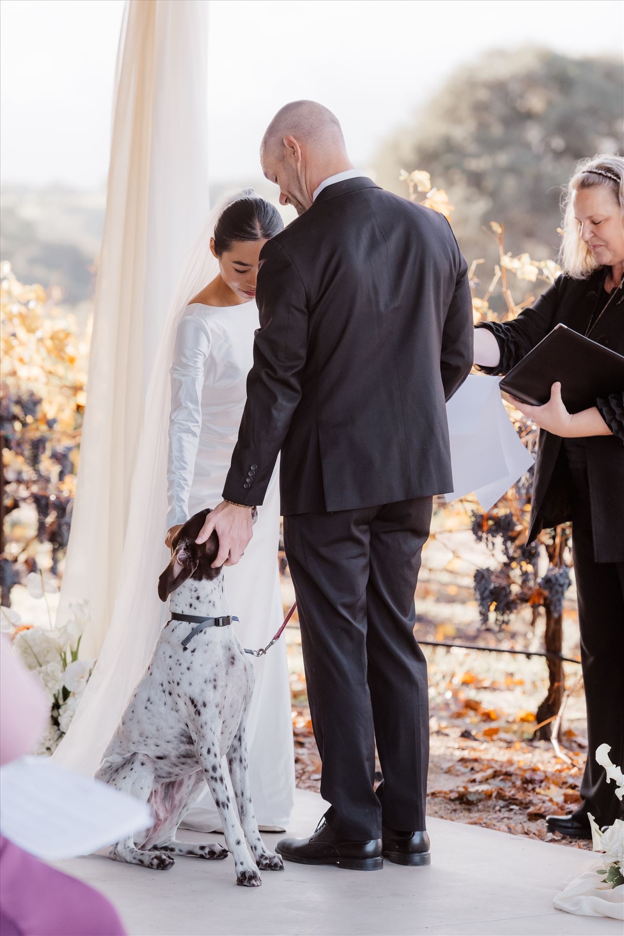 Final-2440.jpg  by Sarah Williams