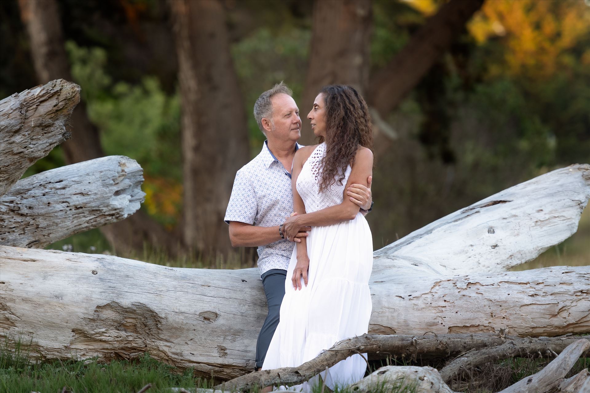 Final--8.jpg  by Sarah Williams