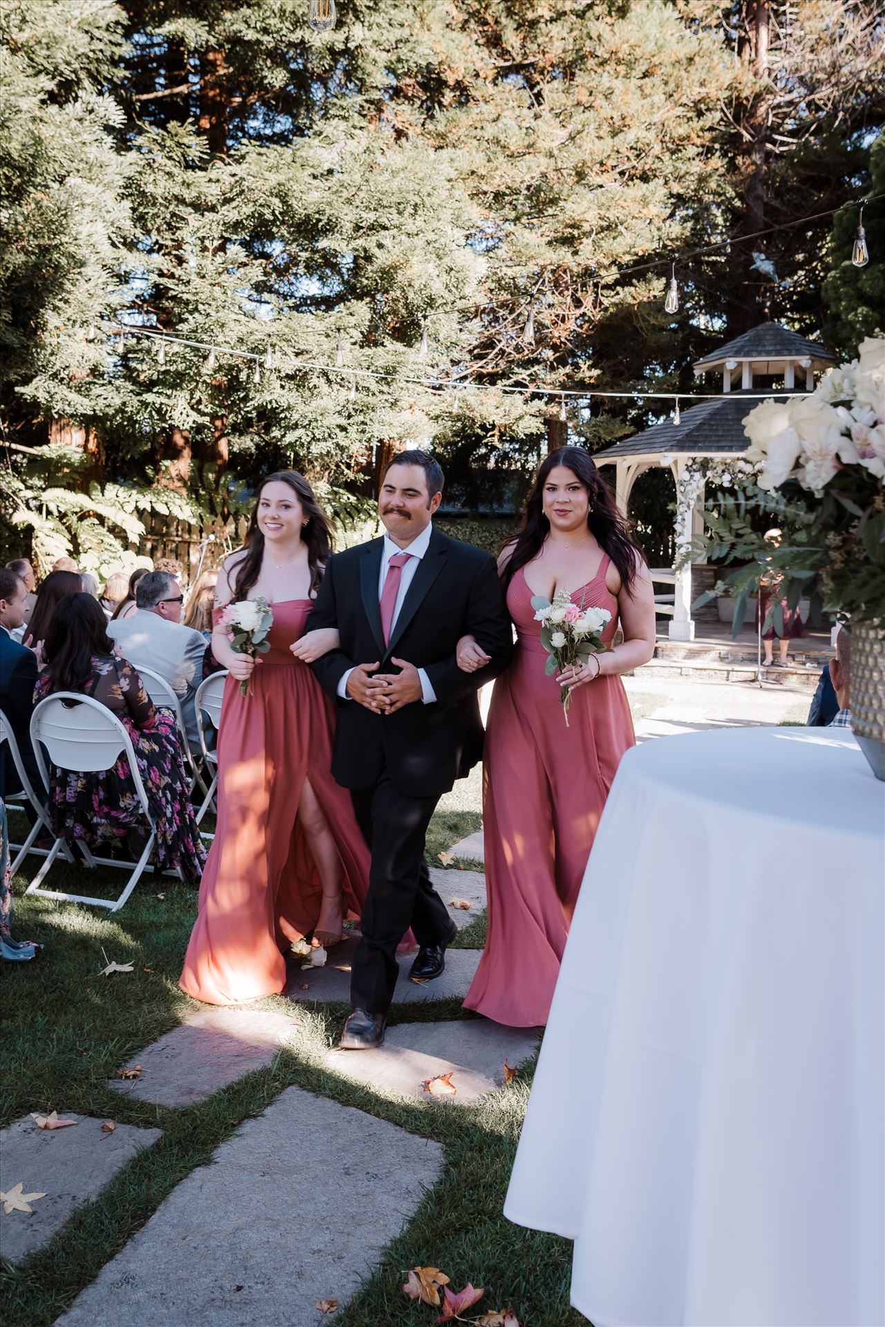 Final-8261.jpg  by Sarah Williams