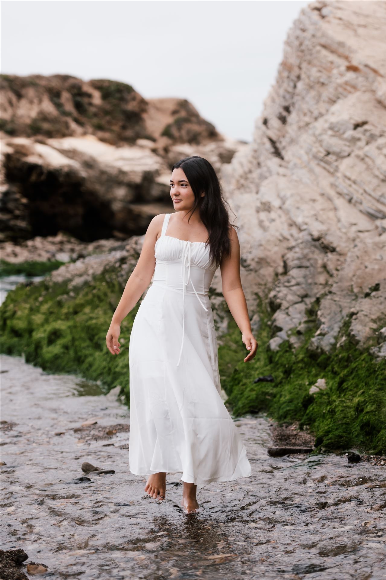 Final--19.jpg  by Sarah Williams