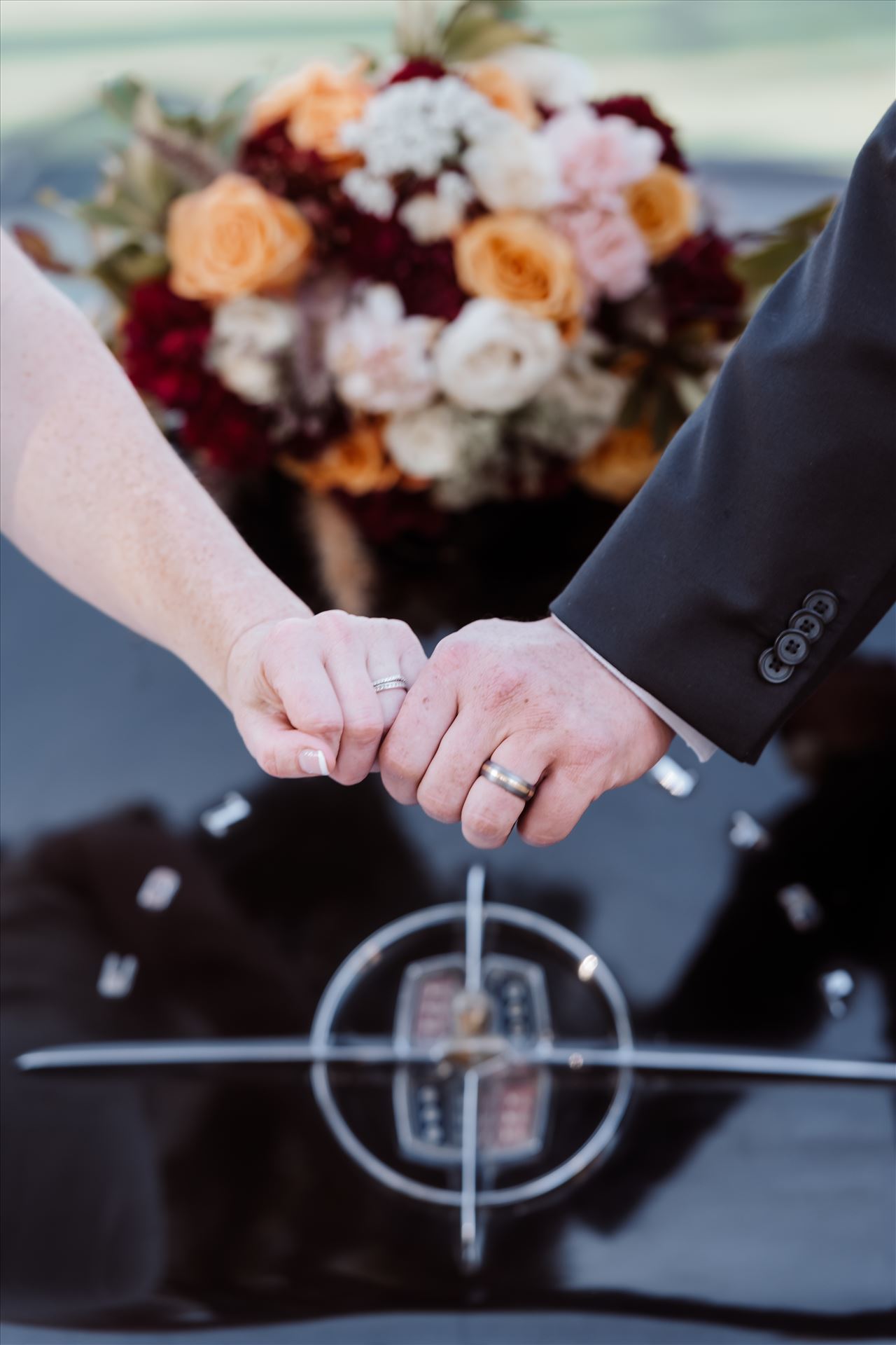 BG Final-1919.jpg  by Sarah Williams