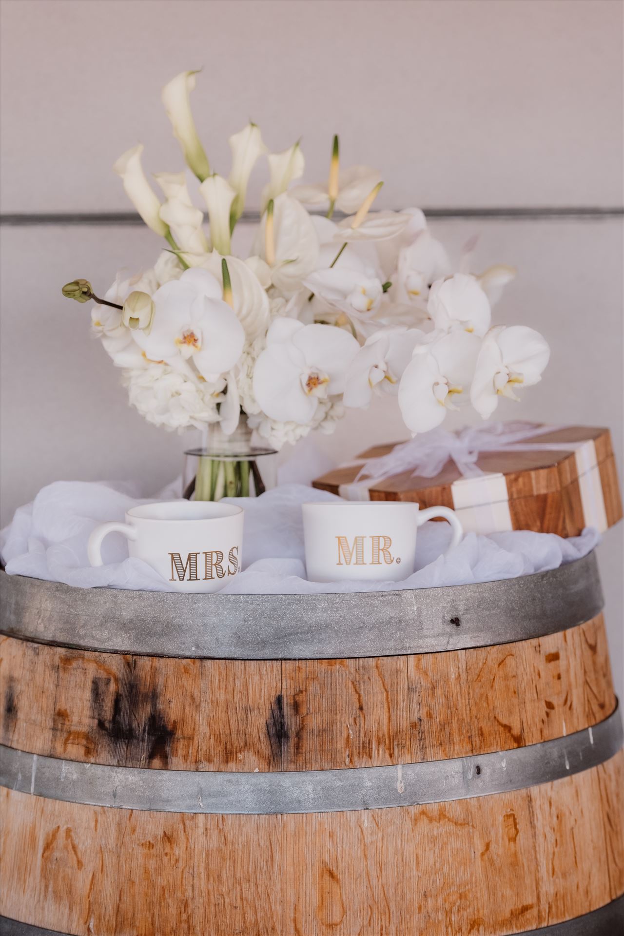 Final-2341.jpg  by Sarah Williams