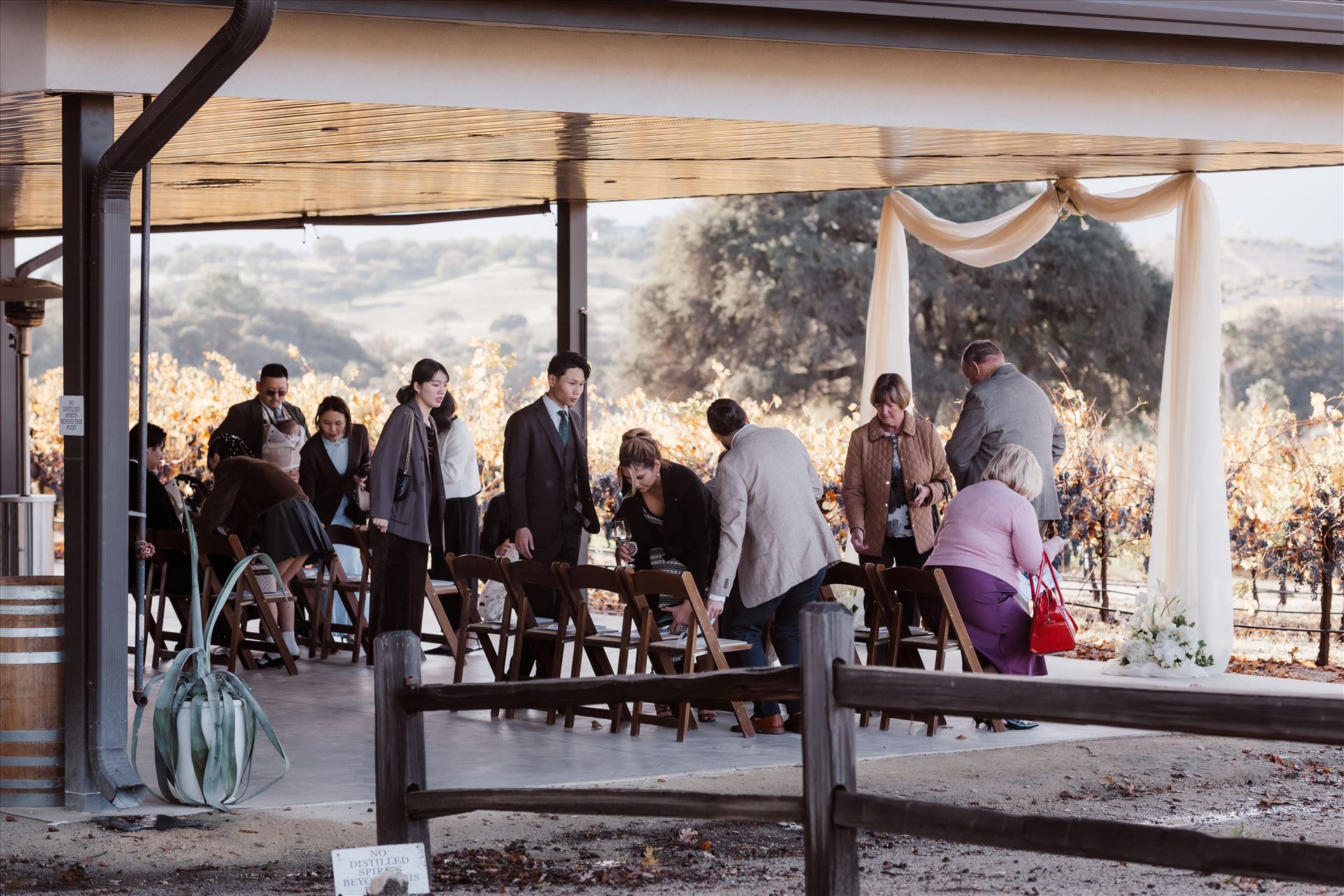 Final-2358.jpg  by Sarah Williams