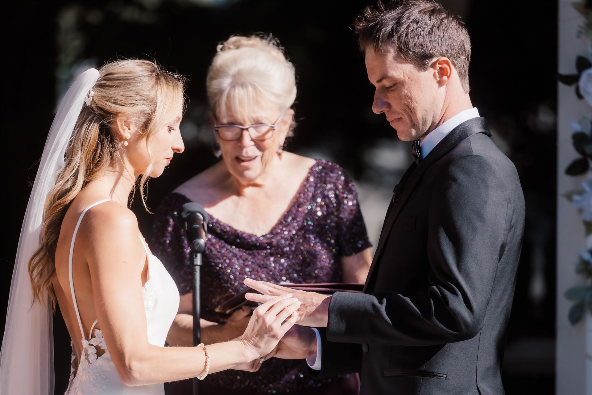 Final-0277.jpg  by Sarah Williams