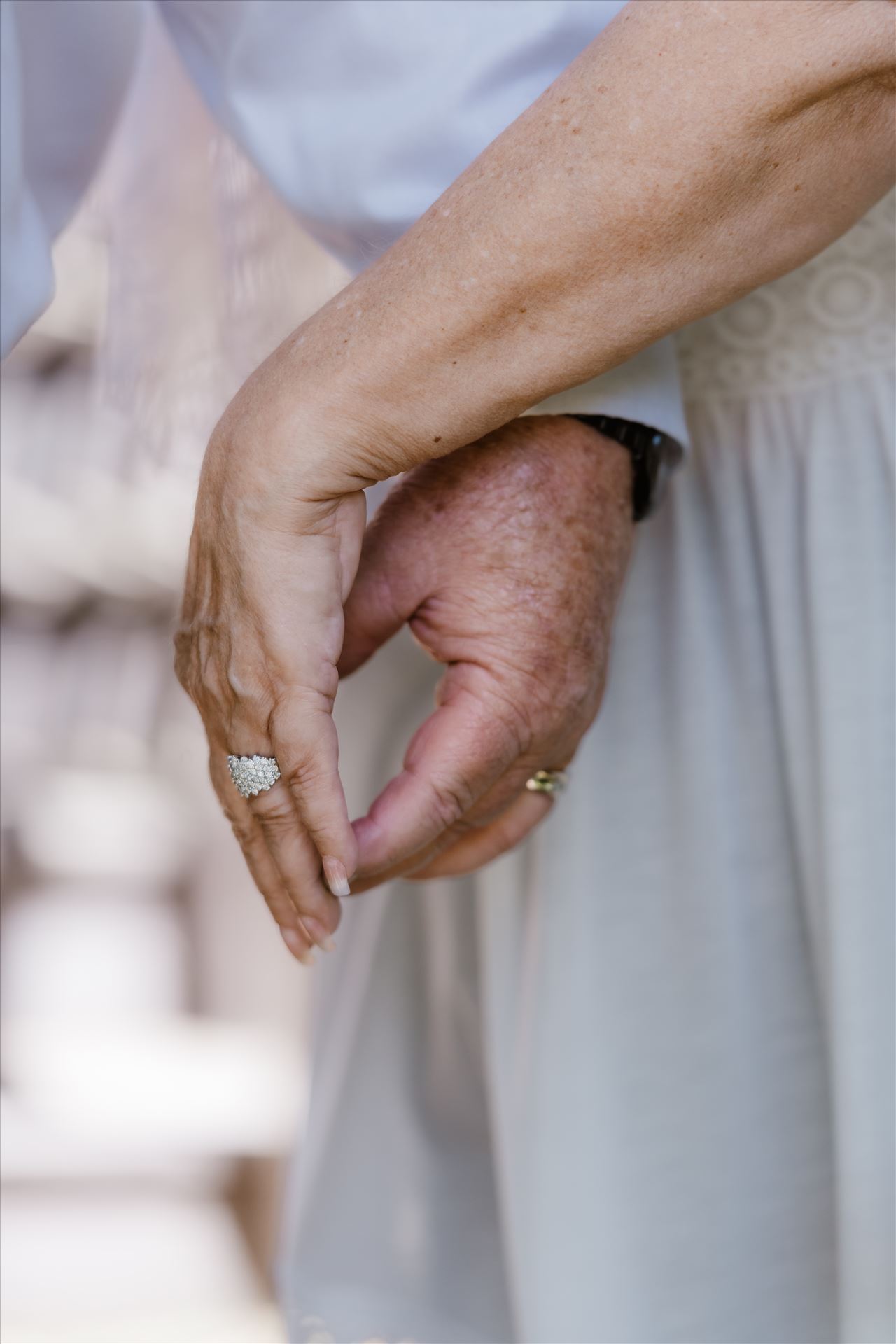 Final-8686.jpg  by Sarah Williams