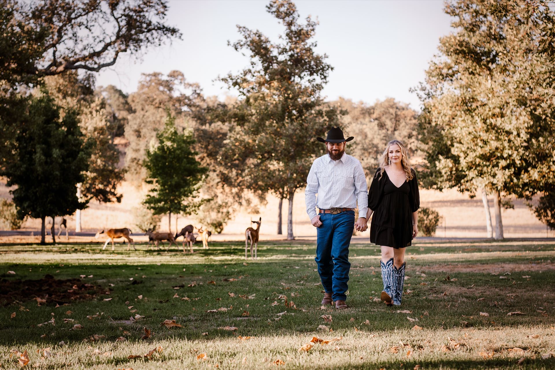 Final--7.jpg  by Sarah Williams