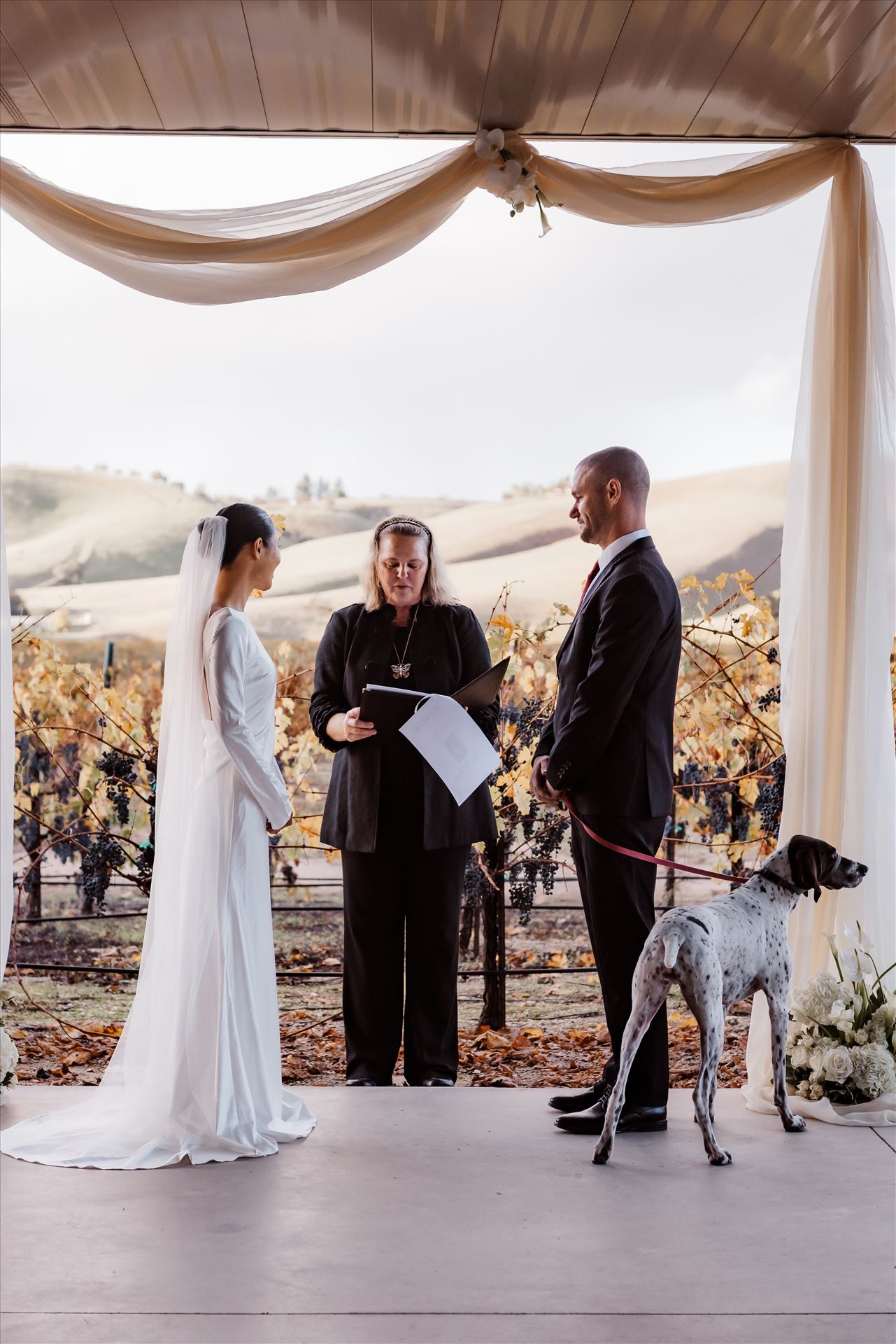 Final-9104.jpg  by Sarah Williams