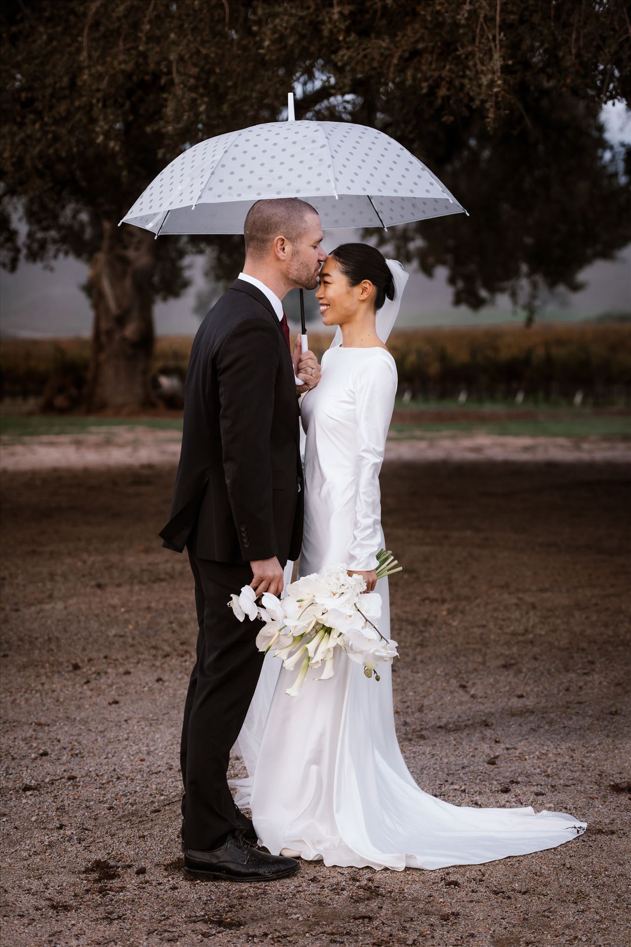 BG Final--26.jpg  by Sarah Williams