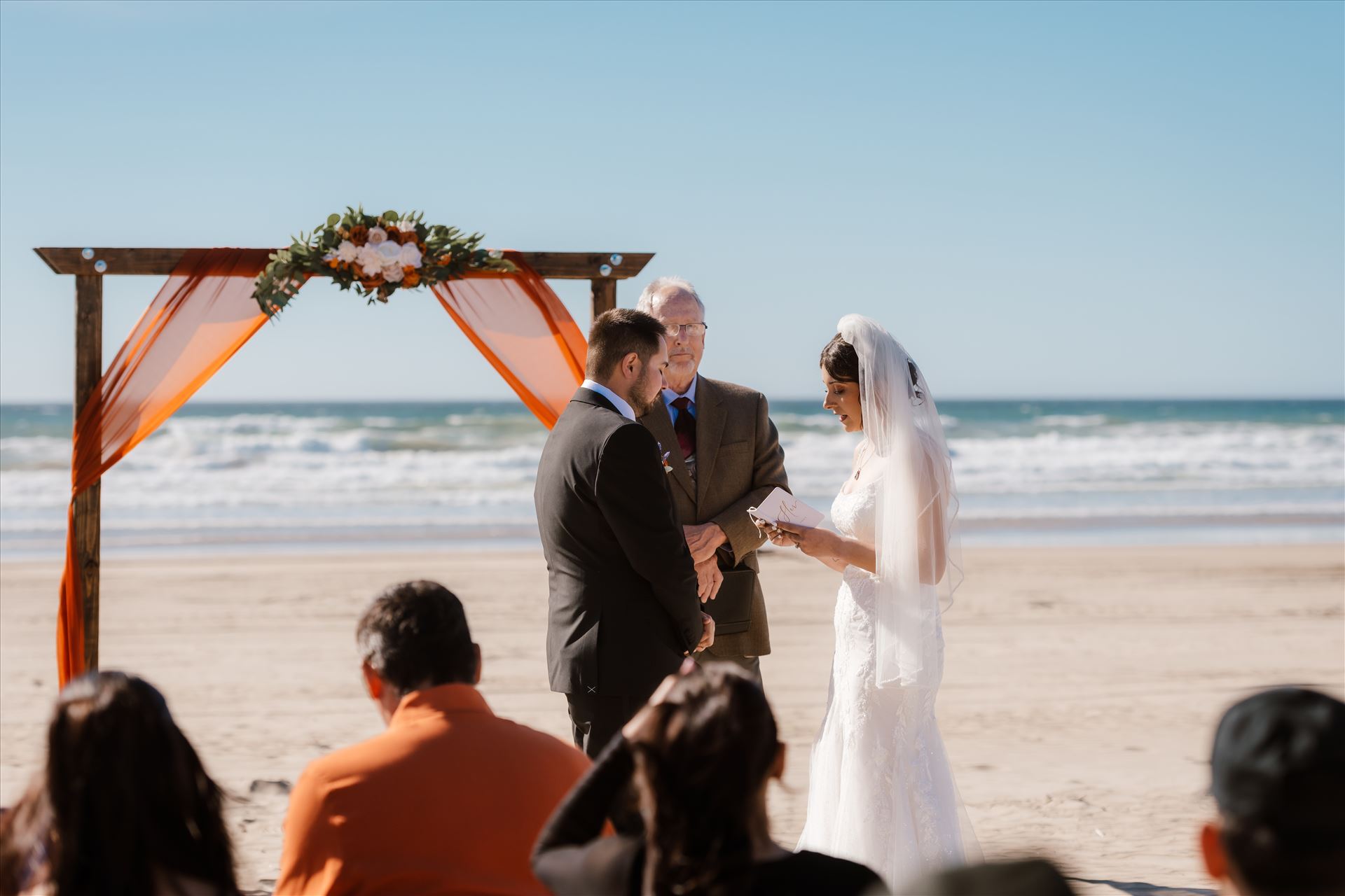 Final-4266.jpg  by Sarah Williams