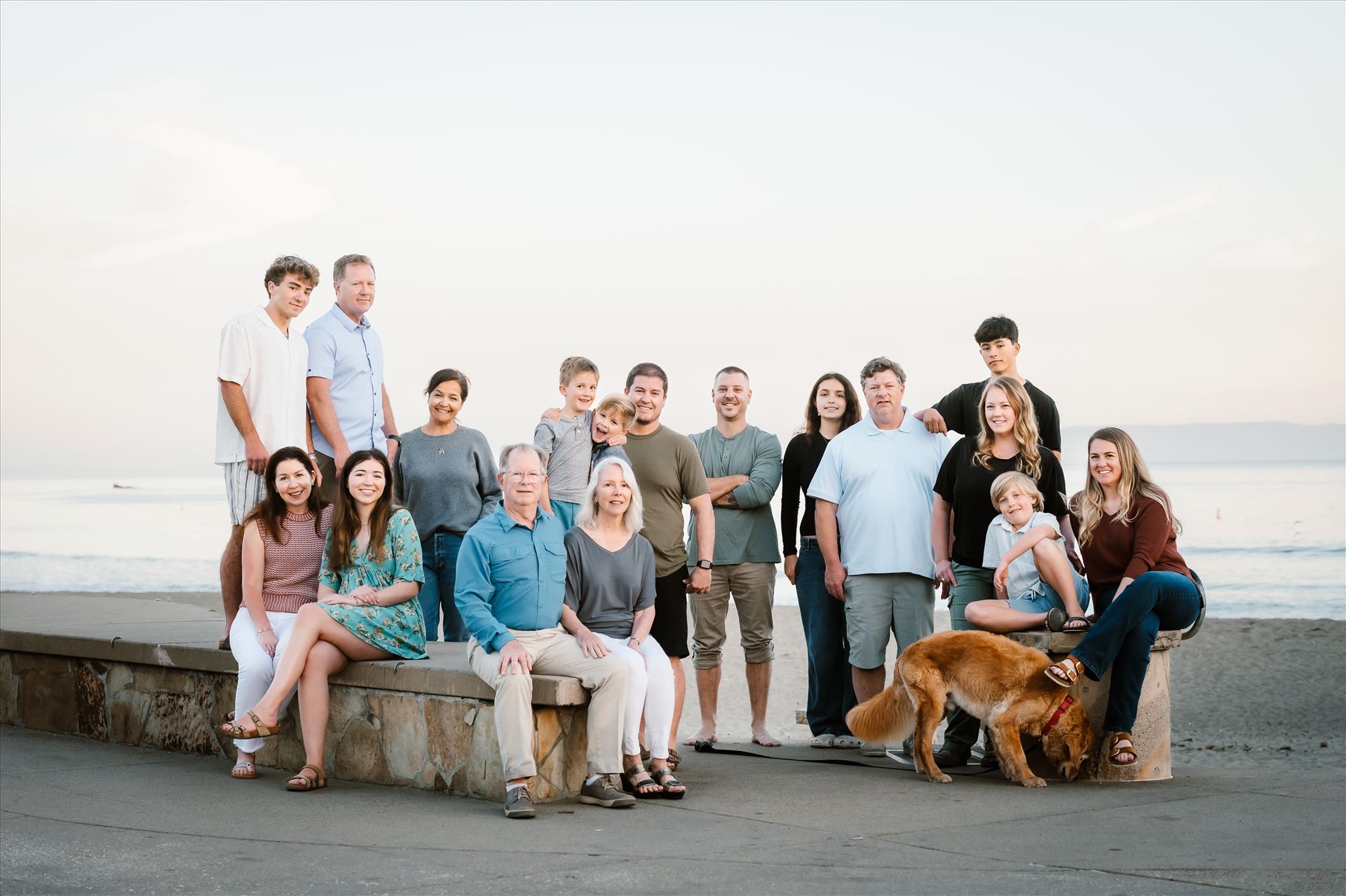 Final-.jpg  by Sarah Williams