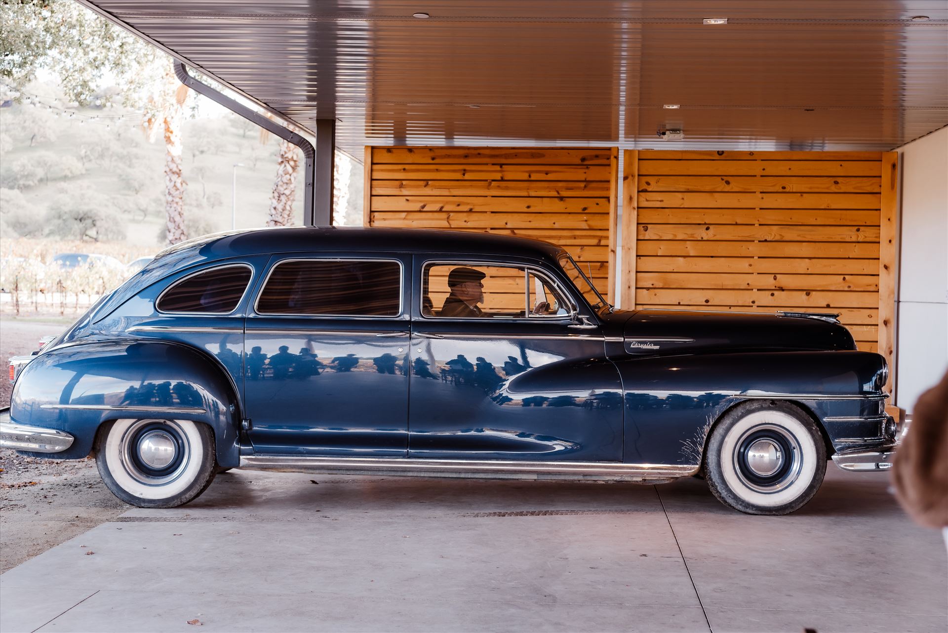 Final-9094.jpg  by Sarah Williams