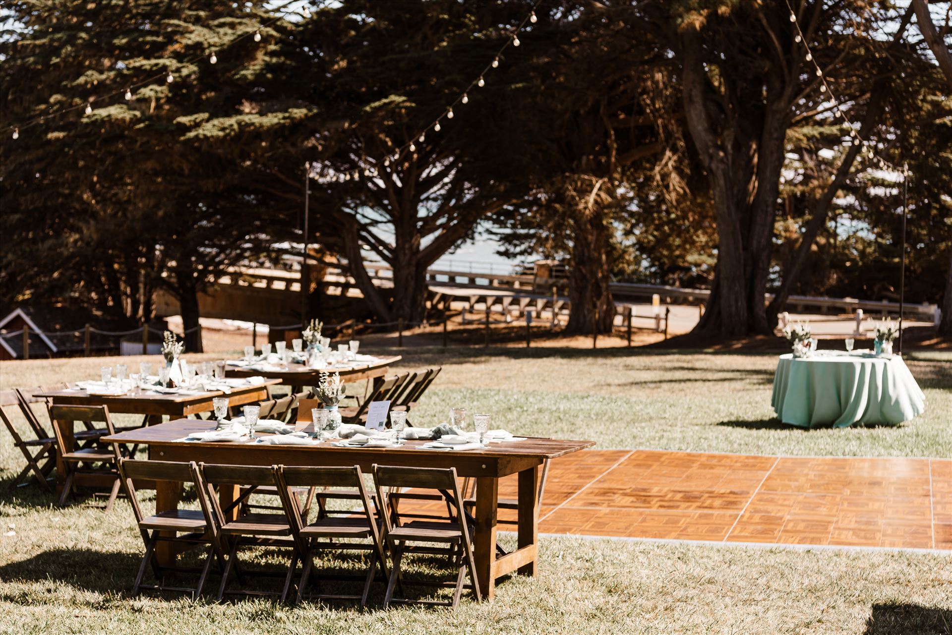 Final-6164.jpg  by Sarah Williams