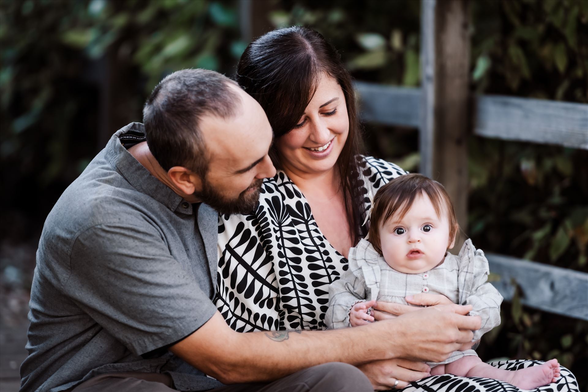 Final--3.jpg  by Sarah Williams