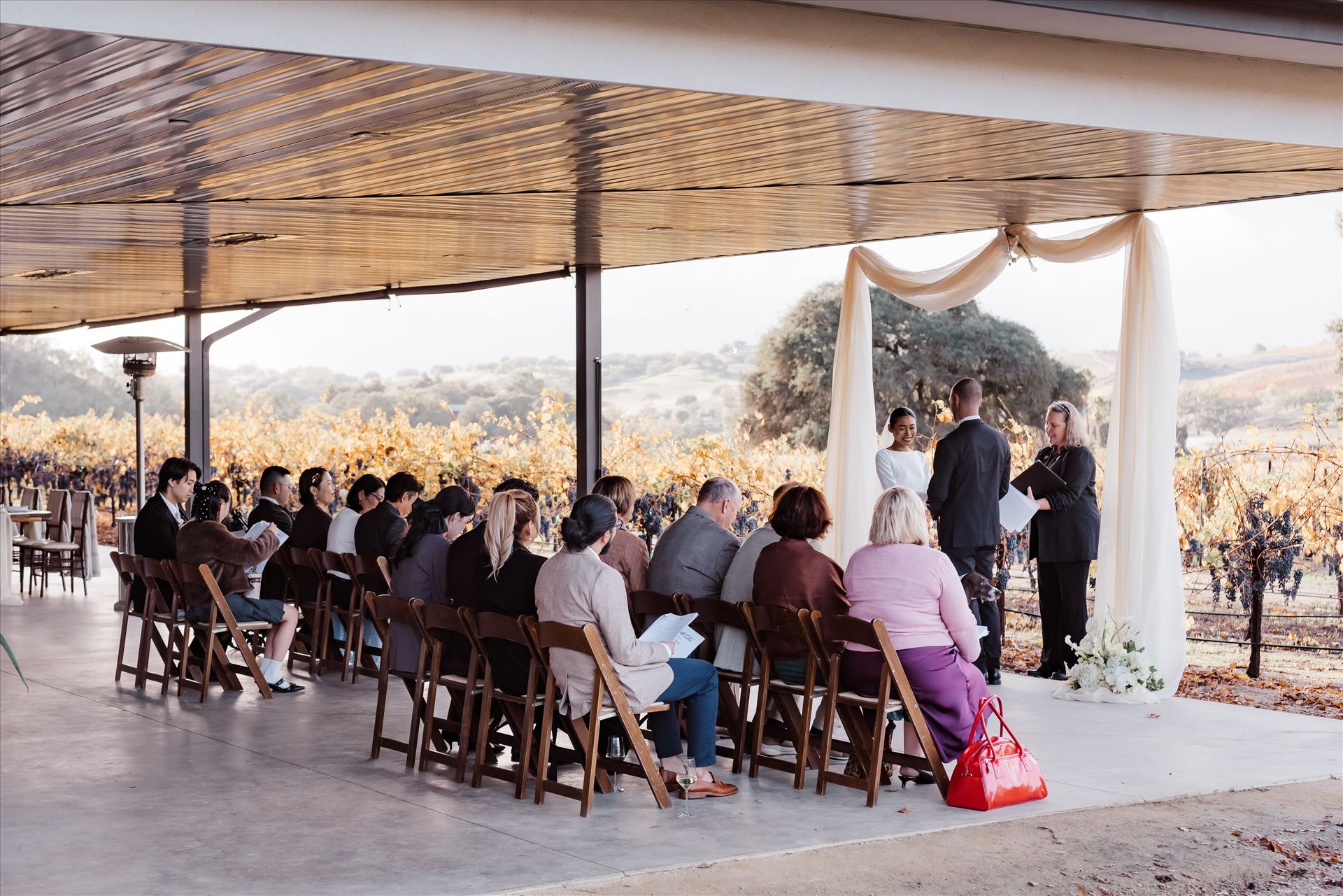 Final-9107.jpg  by Sarah Williams