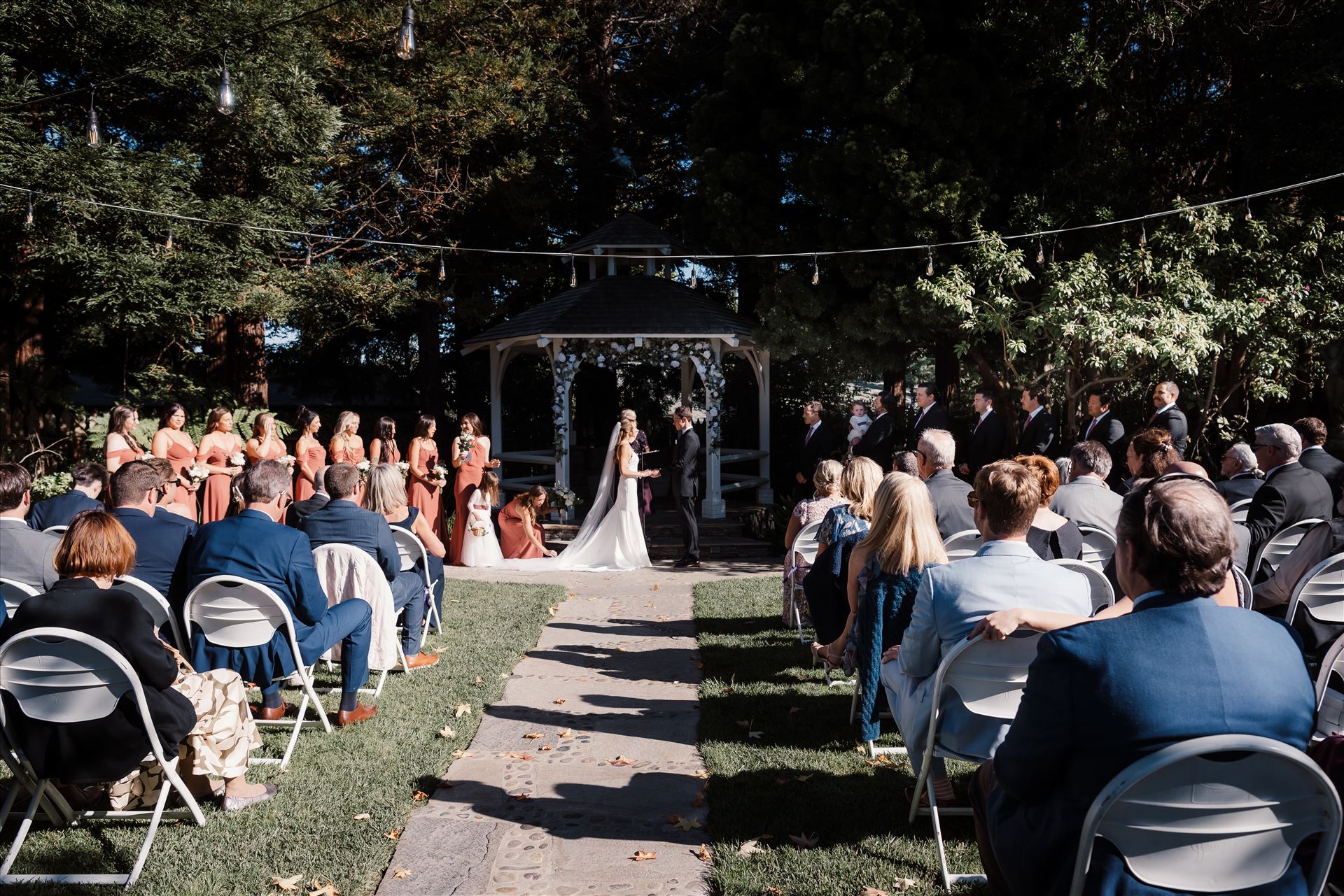 Final-8164.jpg  by Sarah Williams