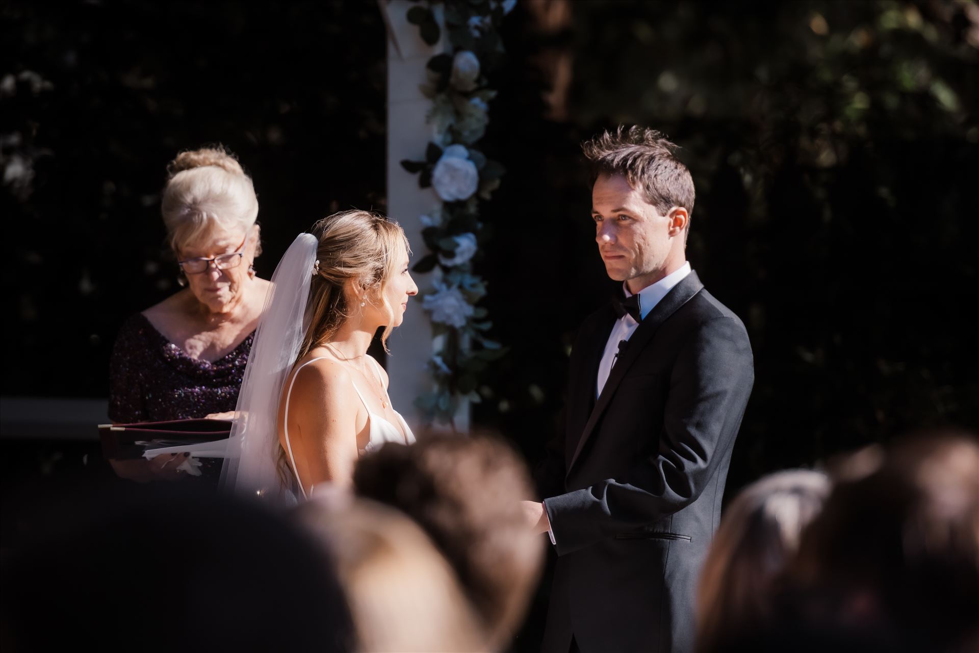 Final-0209.jpg  by Sarah Williams