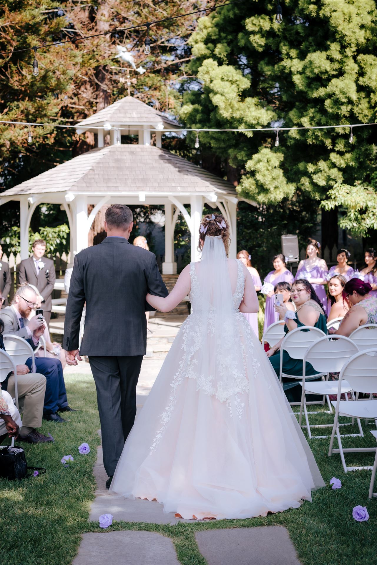 WF-0697.JPG  by Sarah Williams