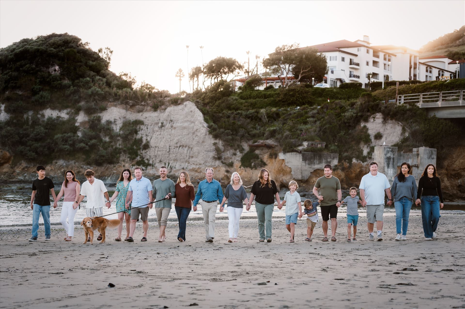 Final--9.jpg  by Sarah Williams