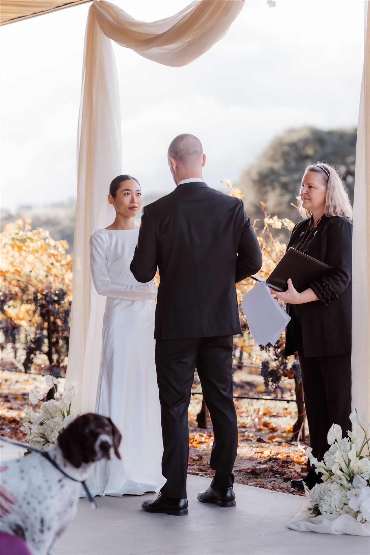 Final-2491.jpg  by Sarah Williams