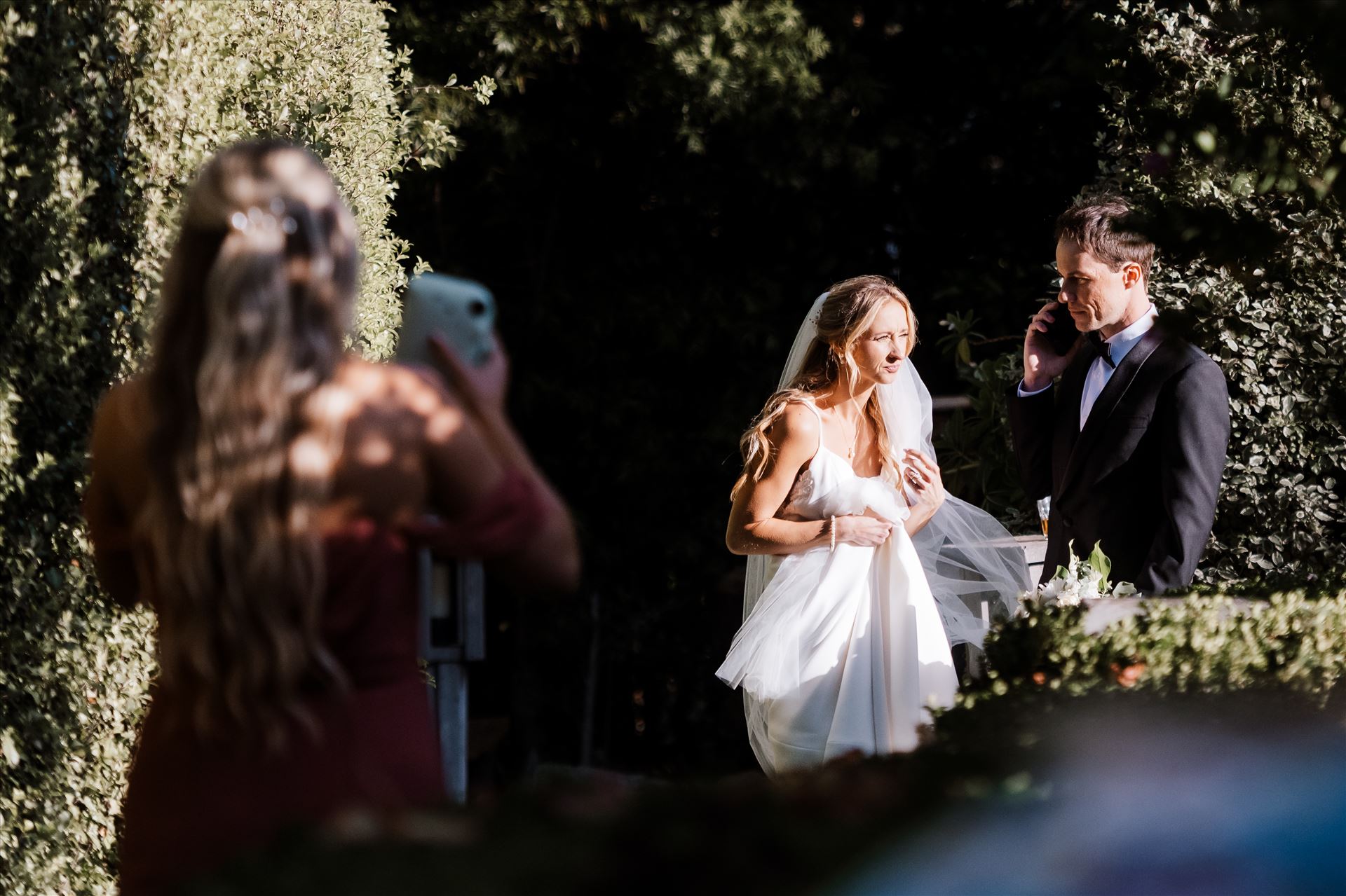 Final-0526.jpg  by Sarah Williams