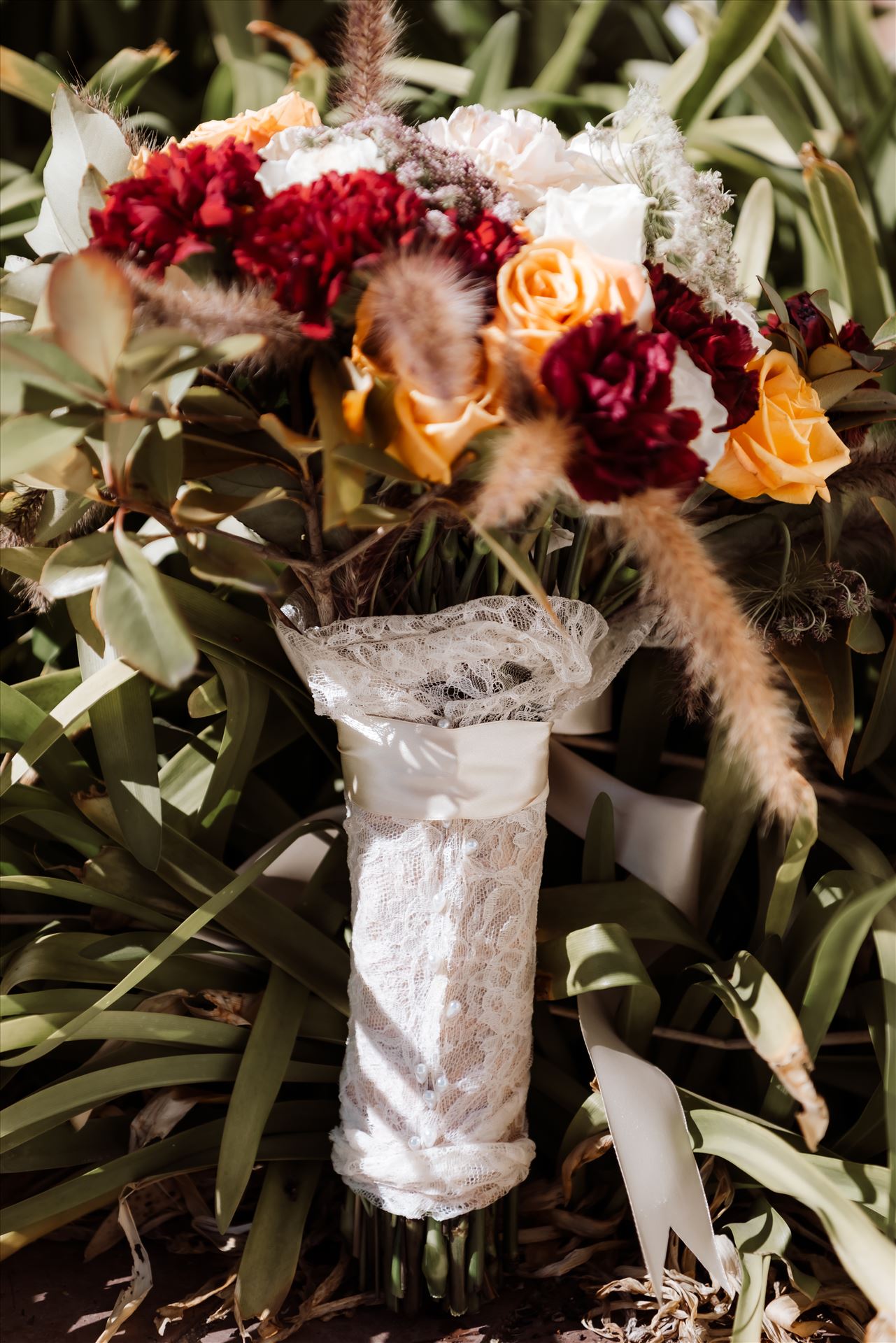 Final-8564.jpg  by Sarah Williams