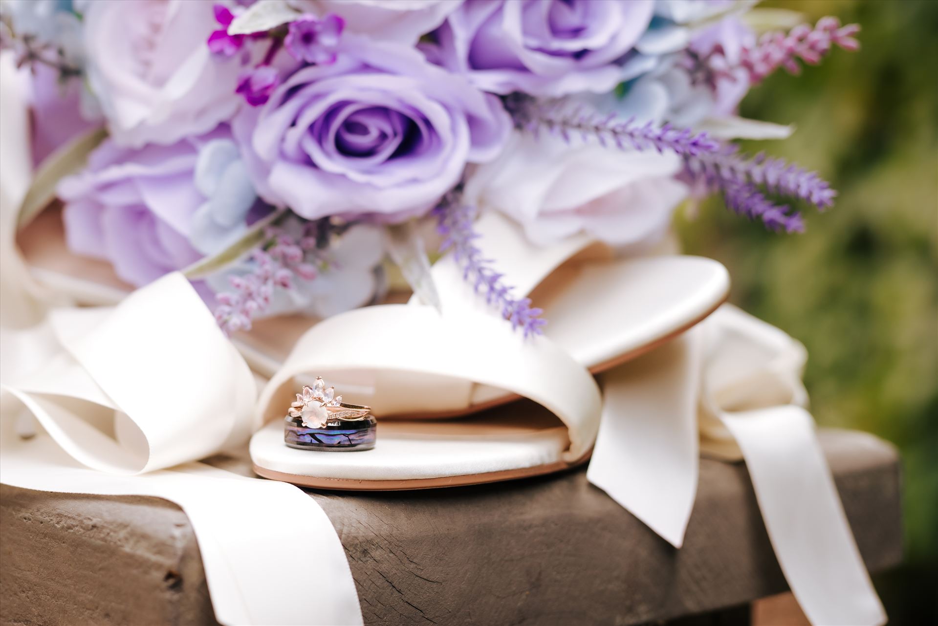 WF-0388.JPG  by Sarah Williams