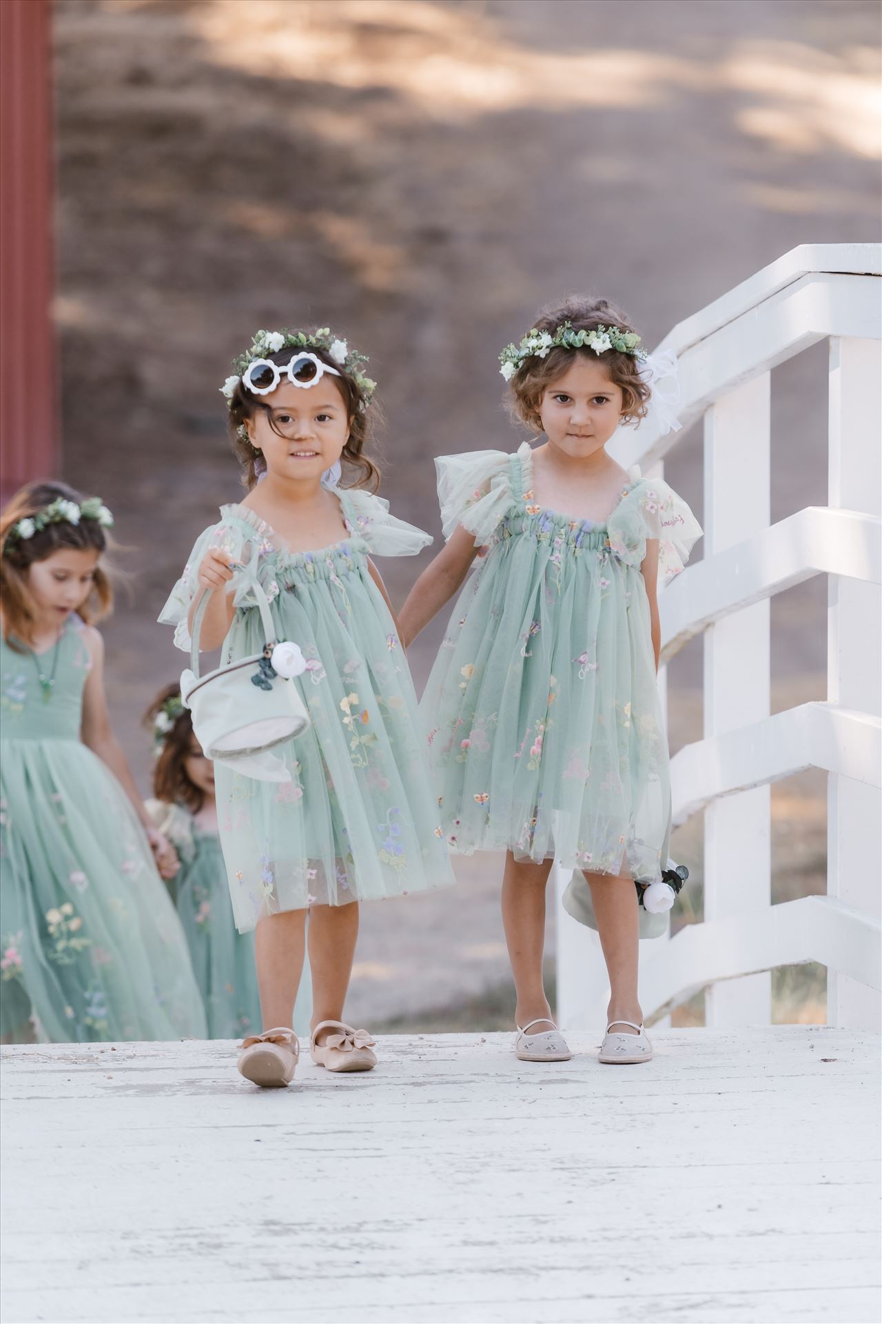 Final-5049.jpg  by Sarah Williams