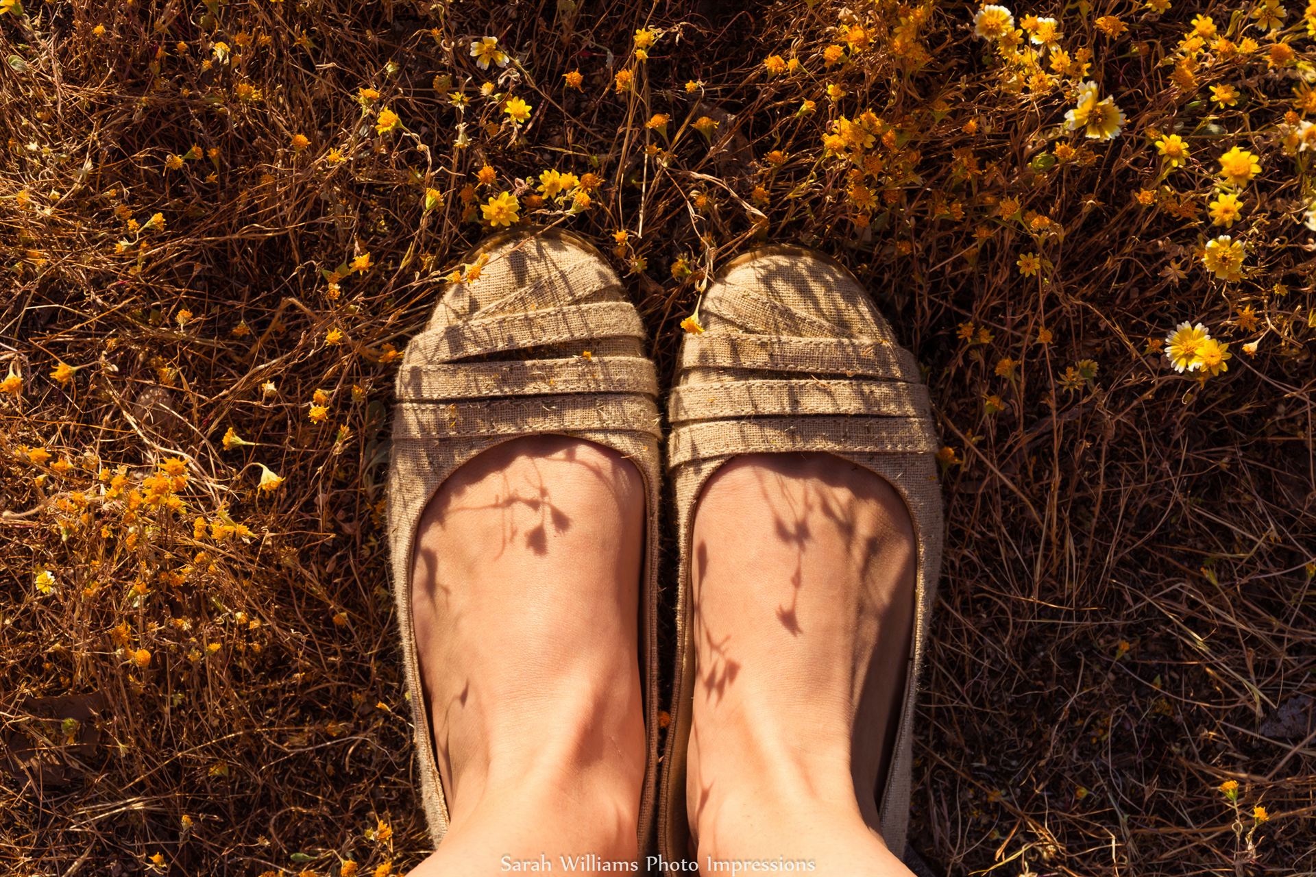 Wildflower Feet.jpg  by Sarah Williams