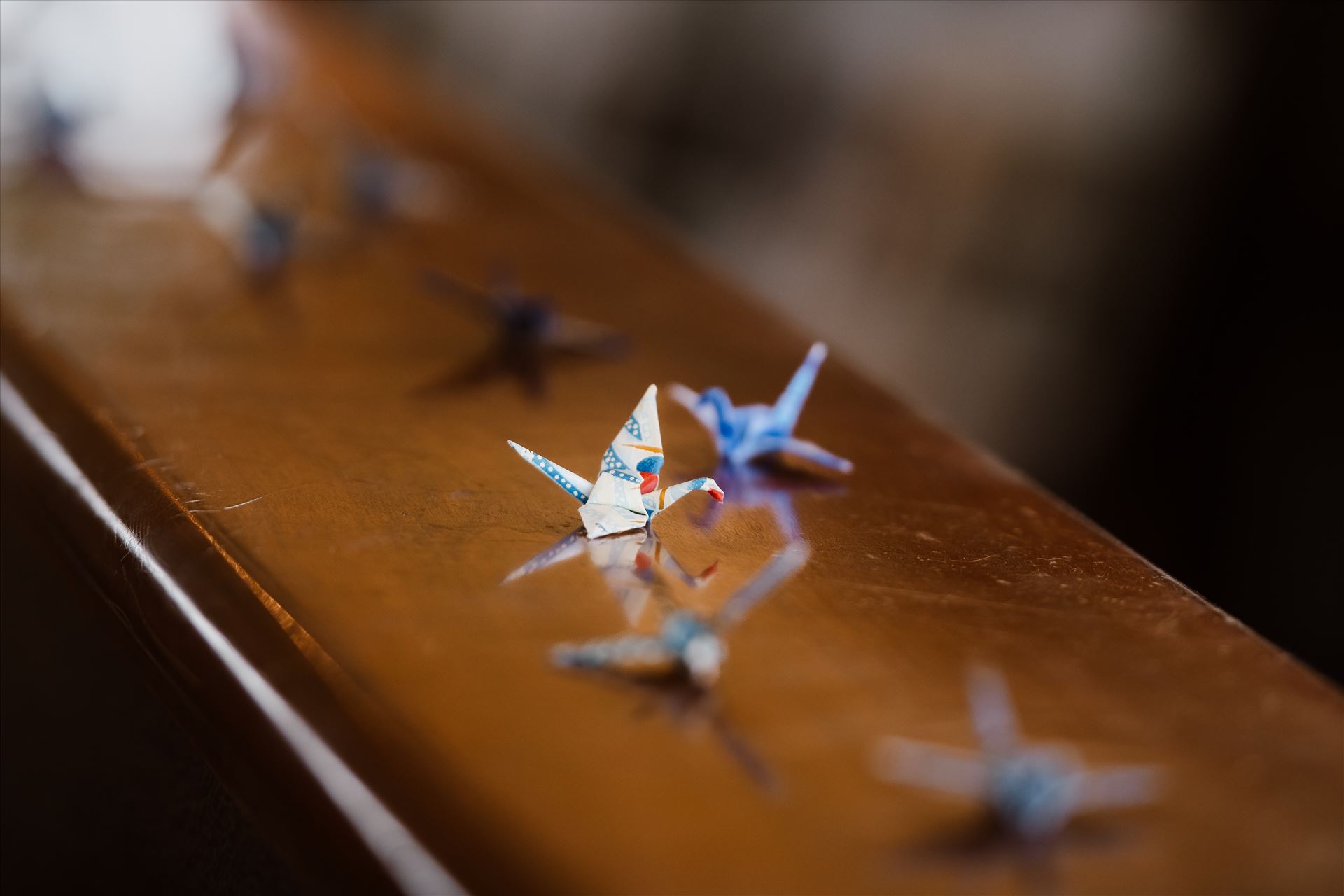 Final-9277.jpg  by Sarah Williams