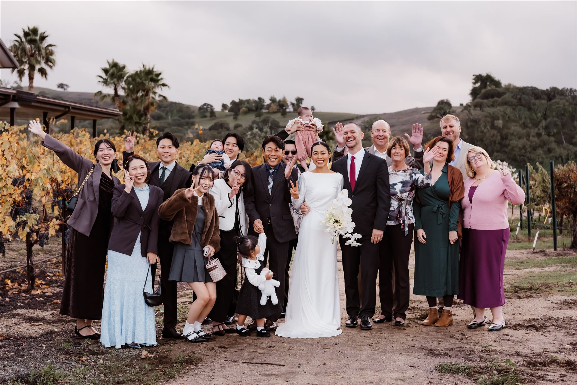 Final-9282.jpg  by Sarah Williams