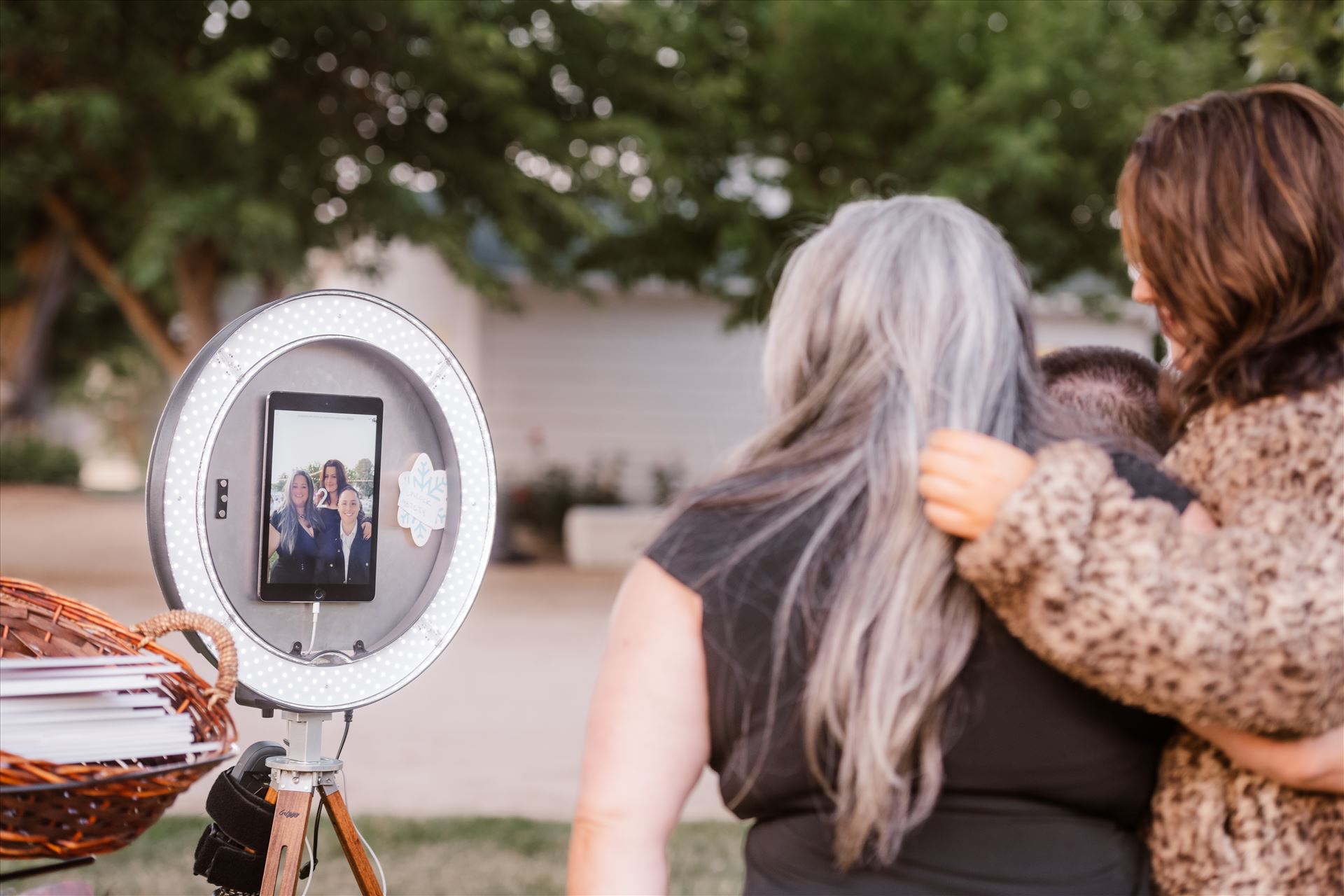 Final-1601.jpg  by Sarah Williams