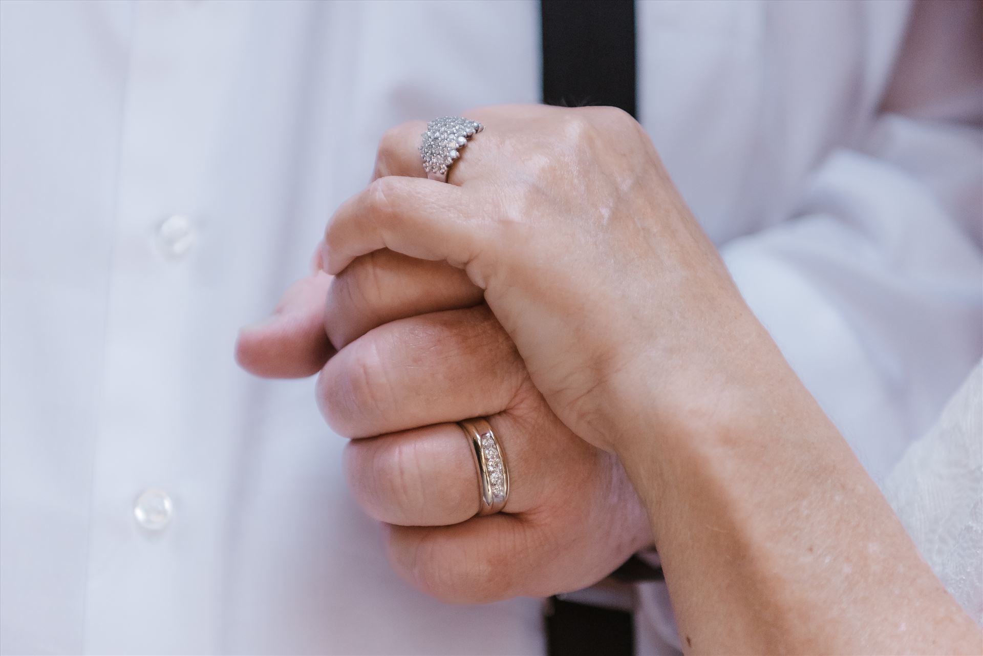 Final-0761.jpg  by Sarah Williams