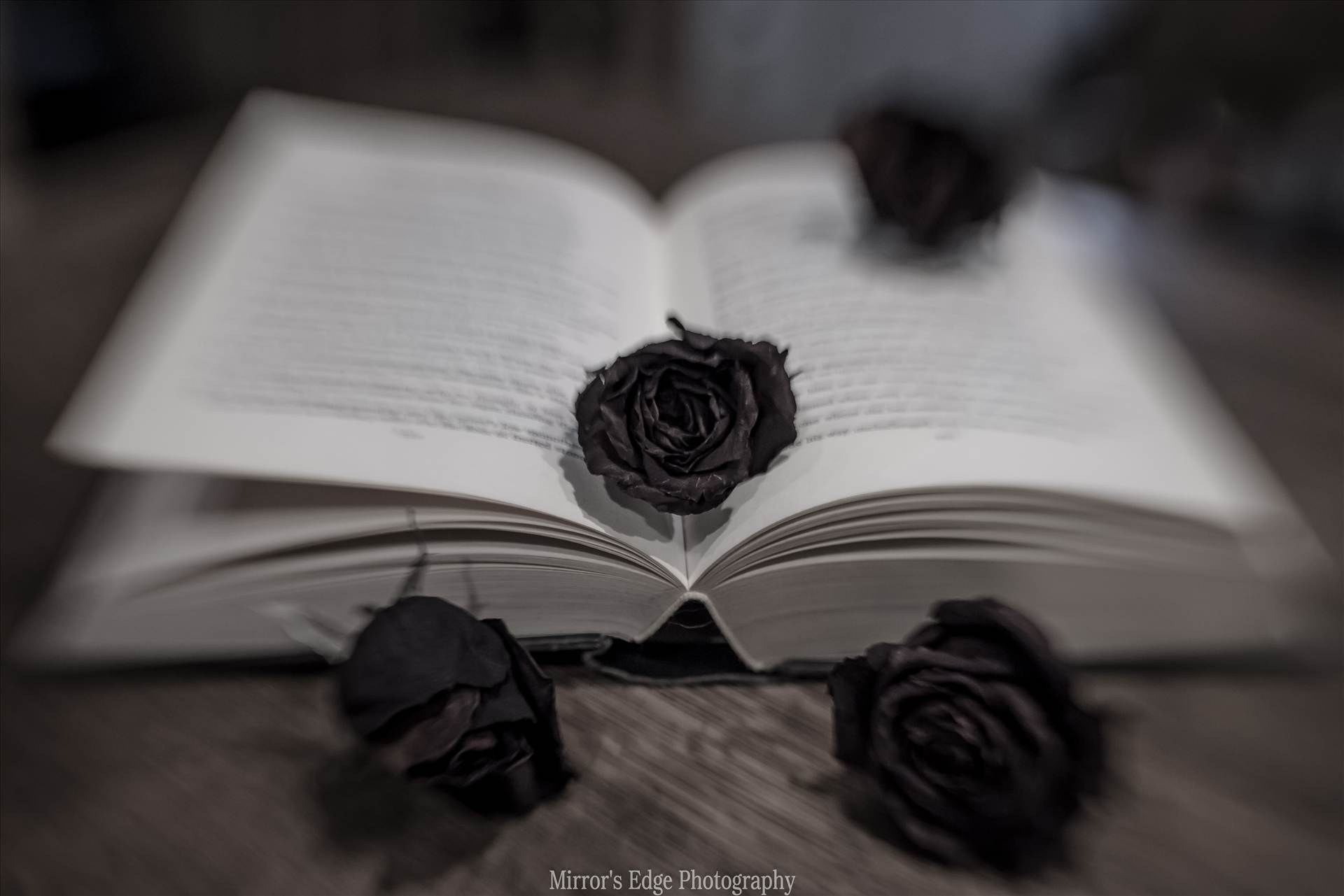 Black Roses.jpg undefined by Sarah Williams