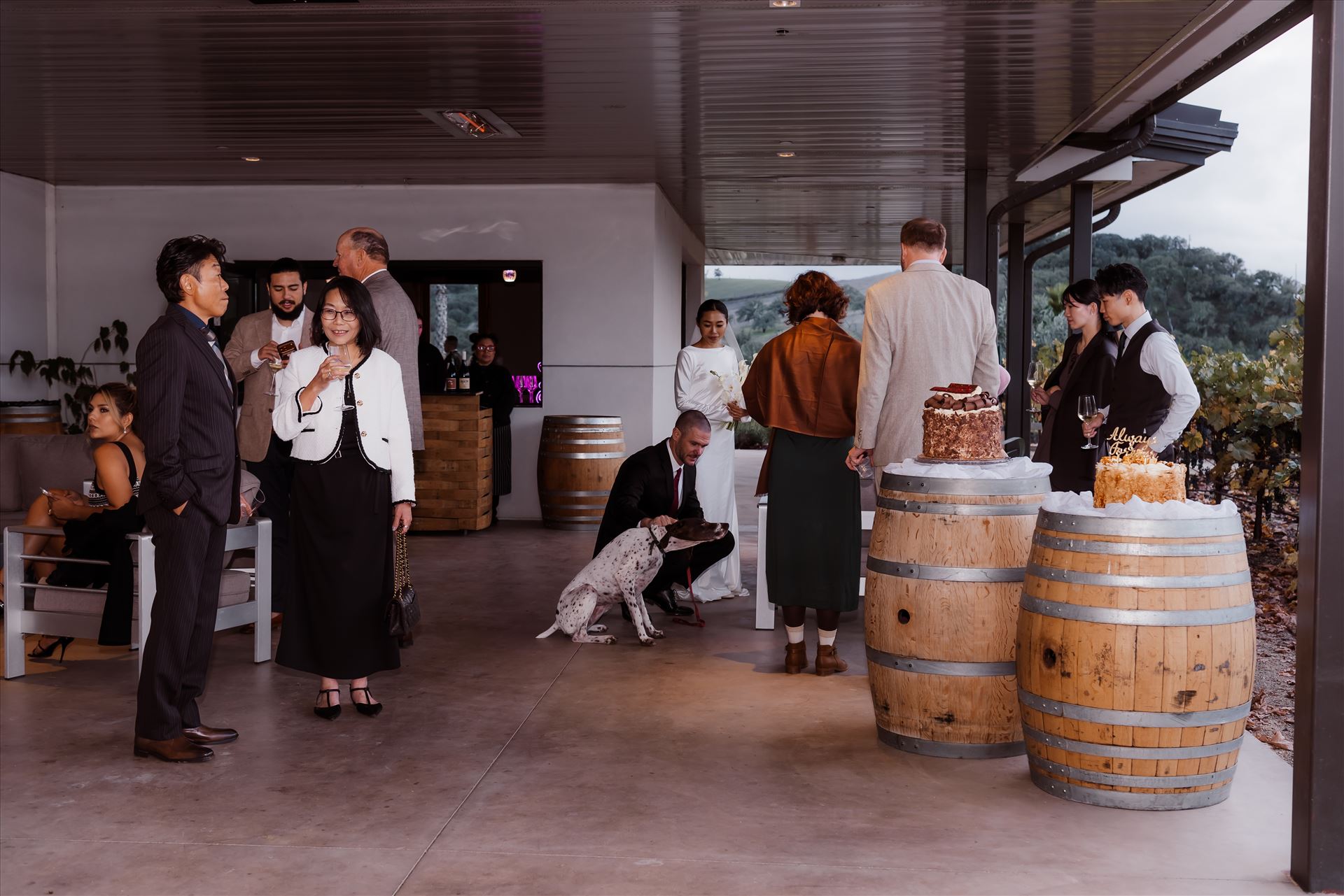 Final-9330.jpg  by Sarah Williams