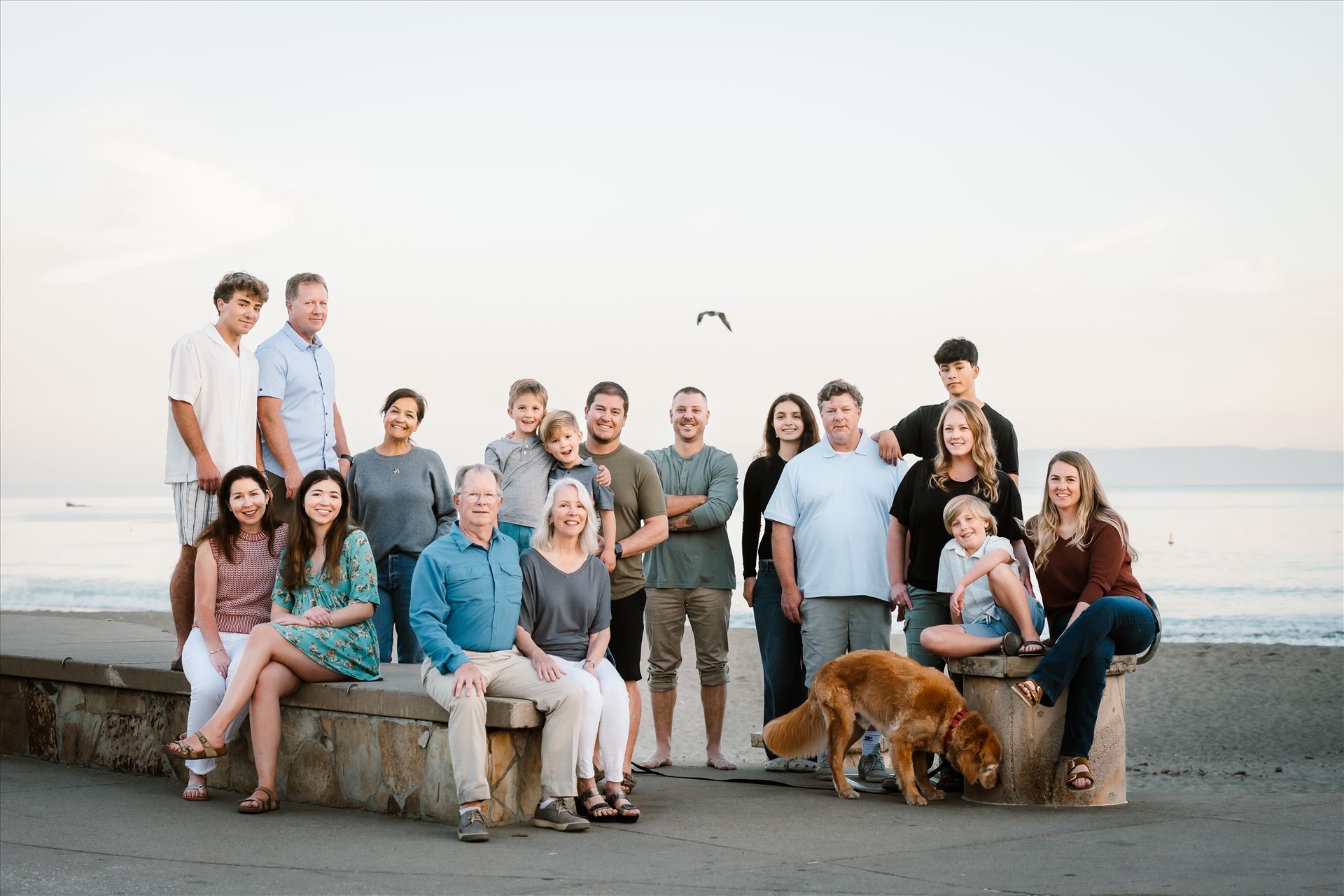 Final--2.jpg  by Sarah Williams