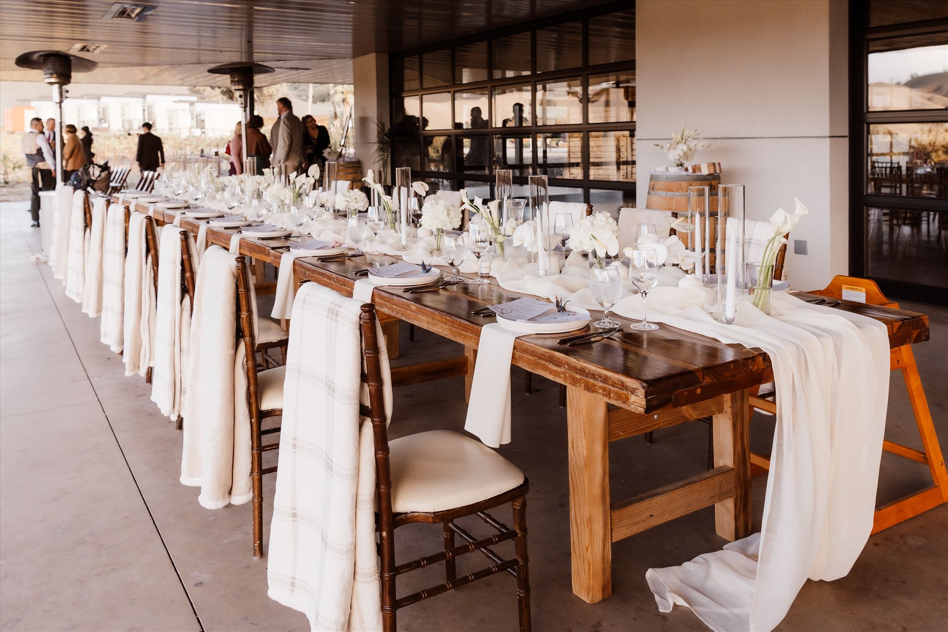 Final-9075.jpg  by Sarah Williams