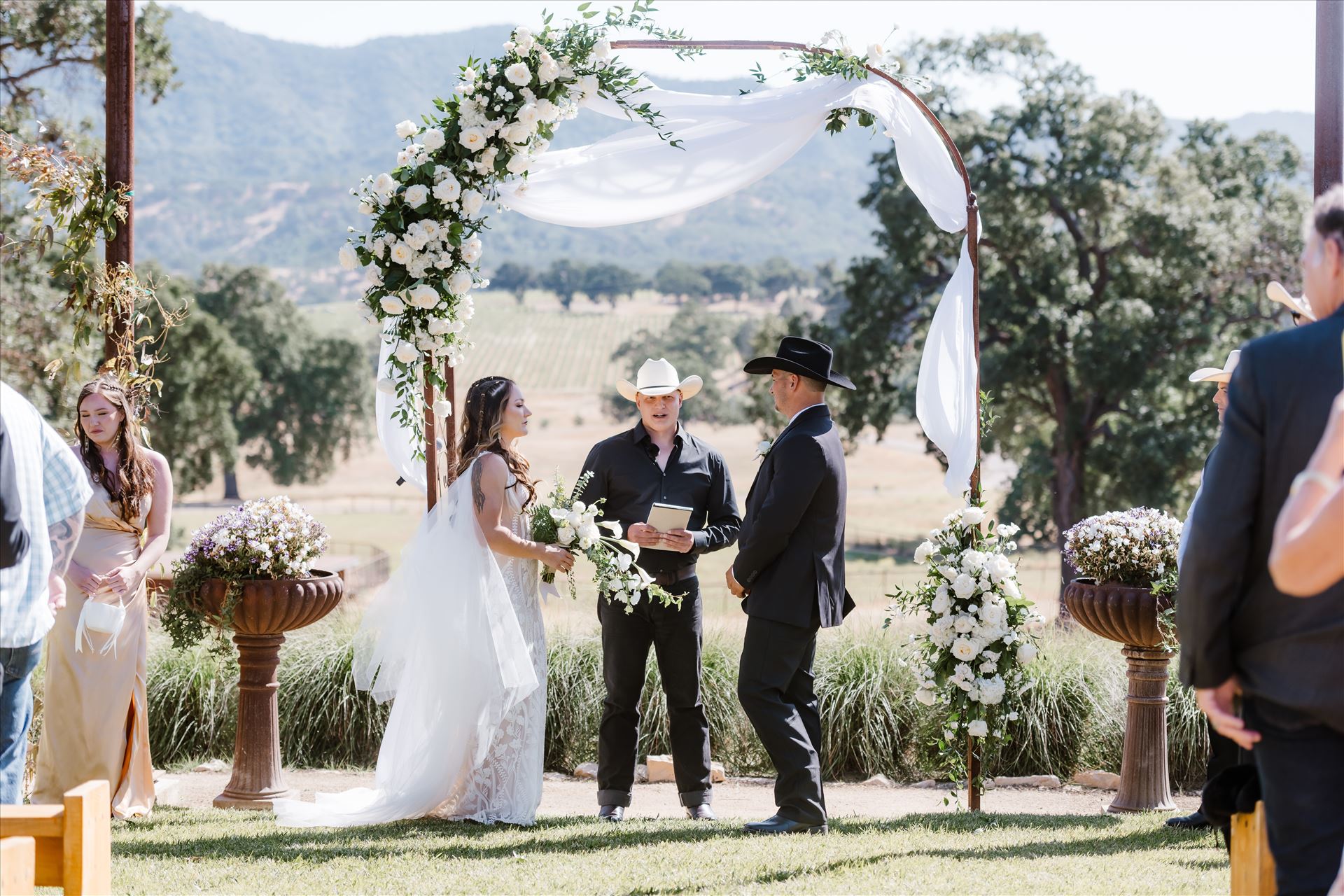 Final-9008.jpg  by Sarah Williams