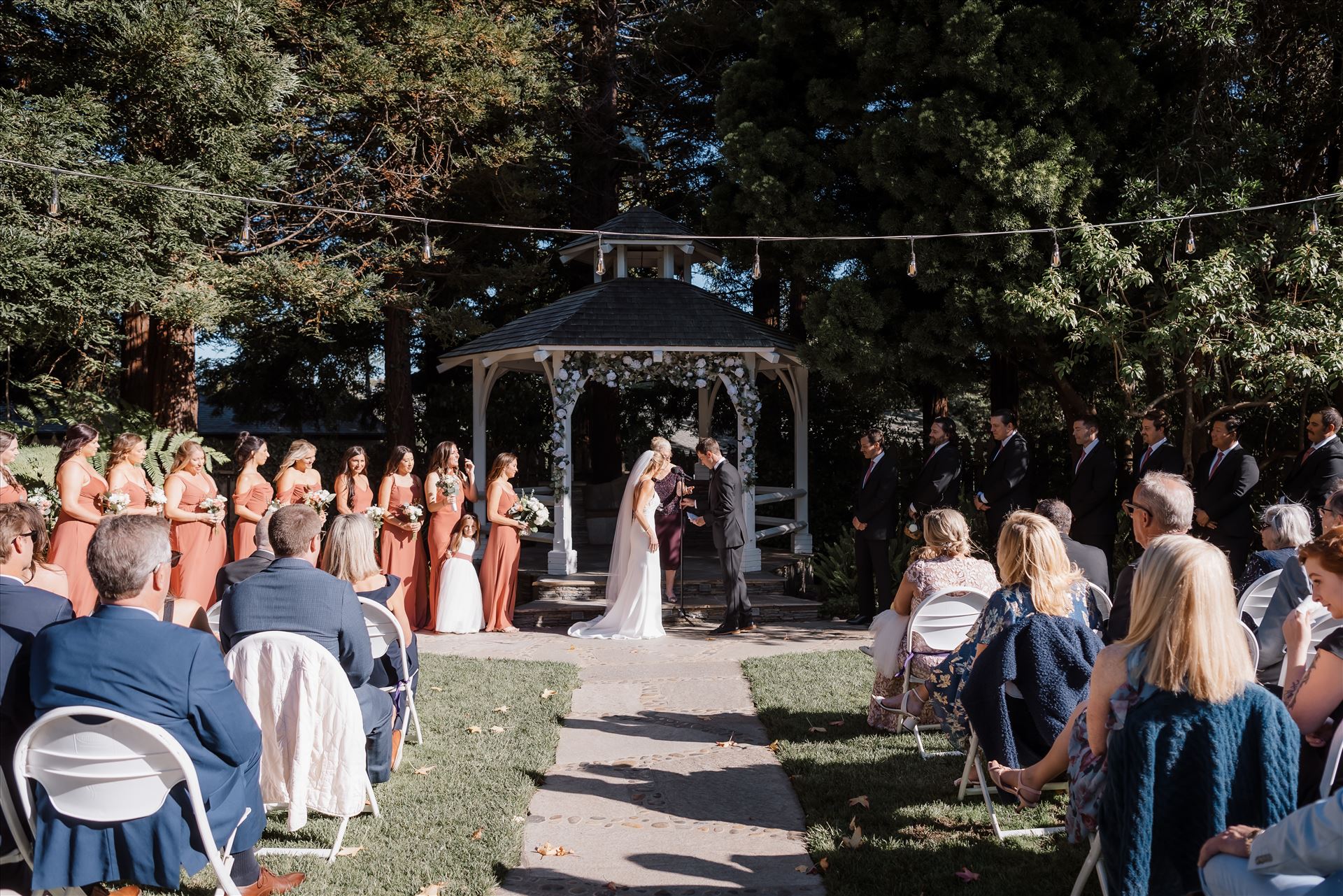 Final-8203.jpg  by Sarah Williams