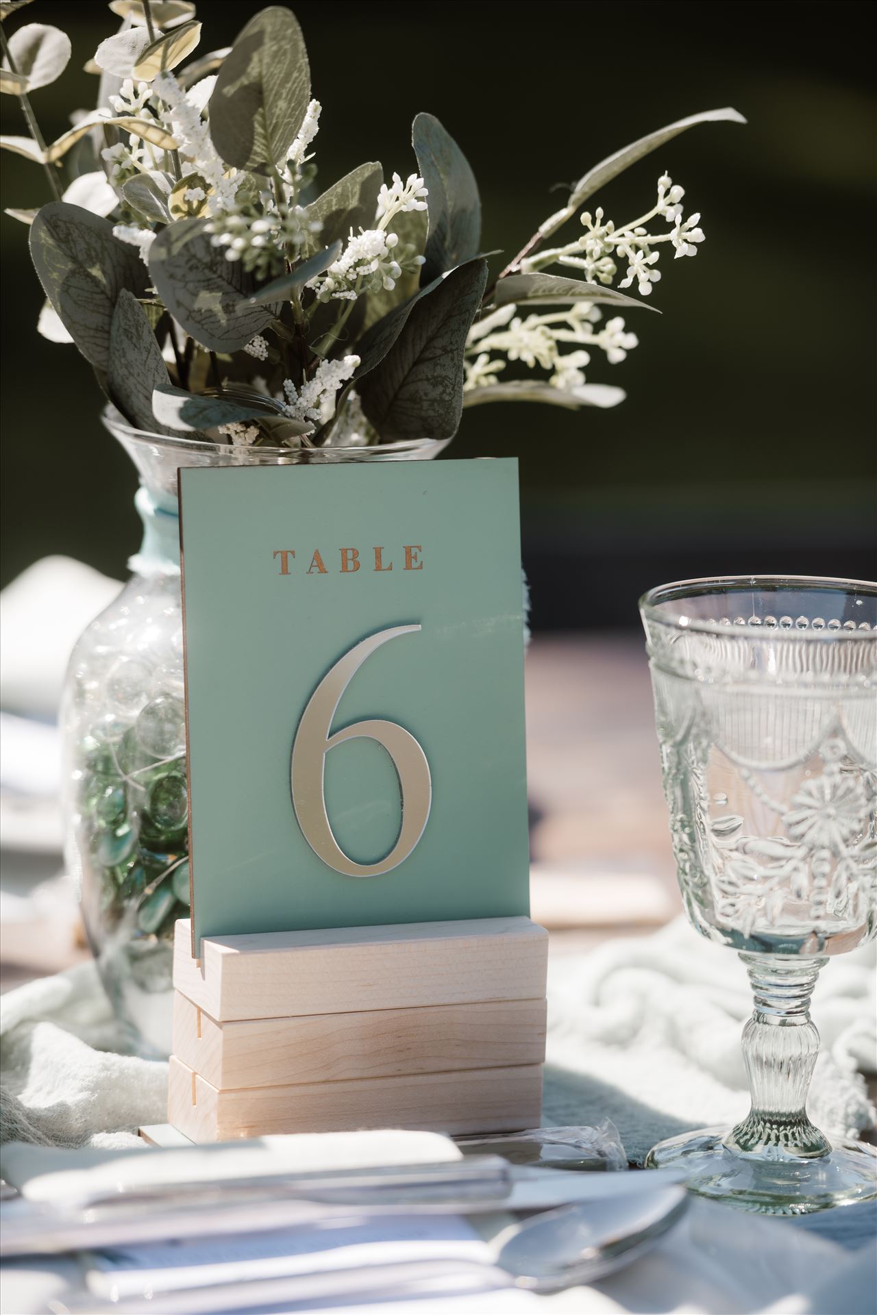 Final-4873.jpg  by Sarah Williams