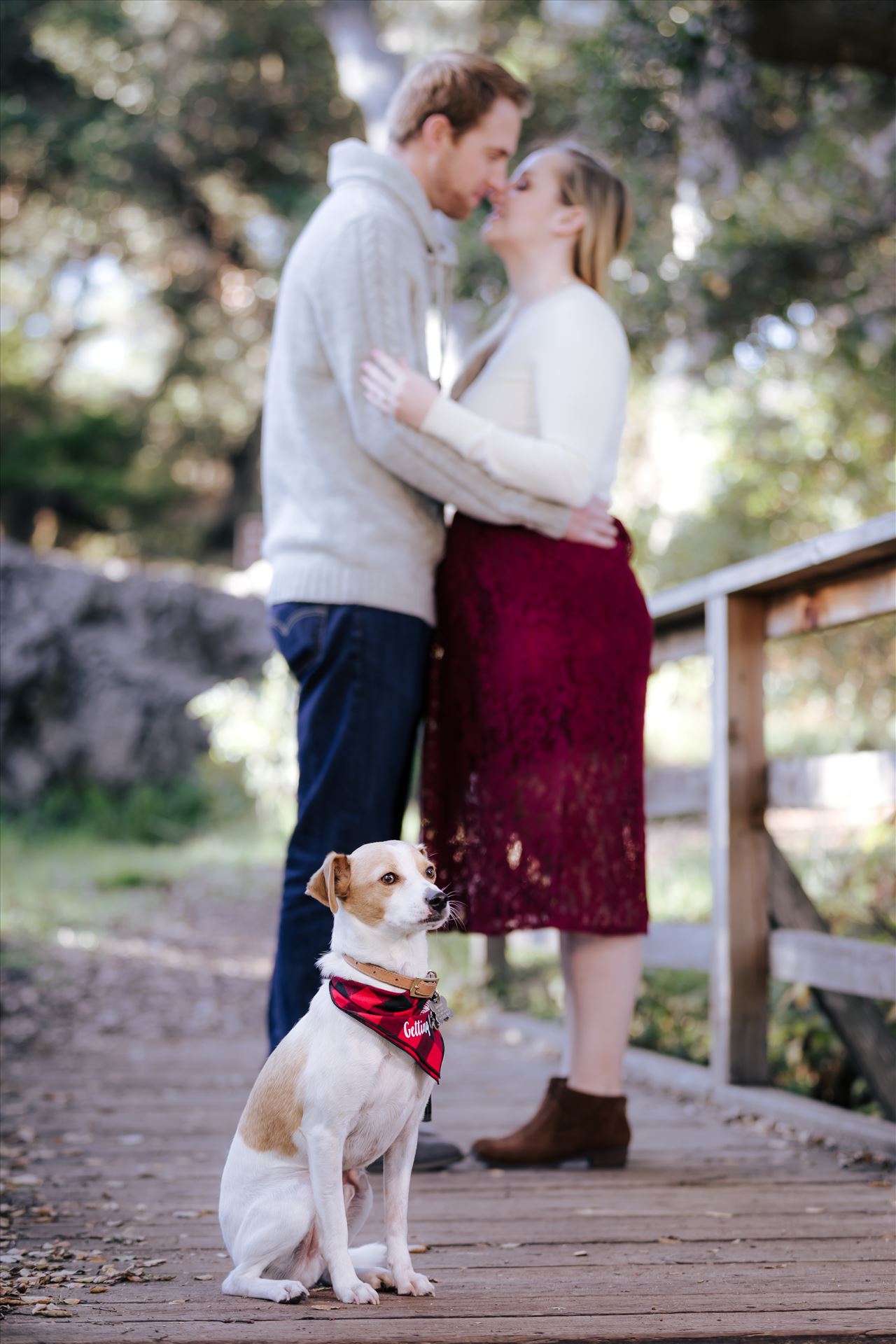 _Y9A8465.JPG Mirror's Edge Photography captures CiCi and Rocky's Sunrise Engagement in Los Osos California at Los Osos Oaks Reserve. Fur baby engagement session by Sarah Williams