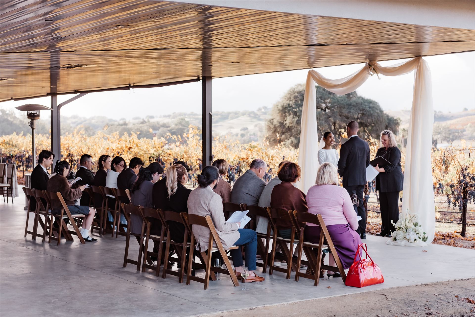 Final-9109.jpg  by Sarah Williams