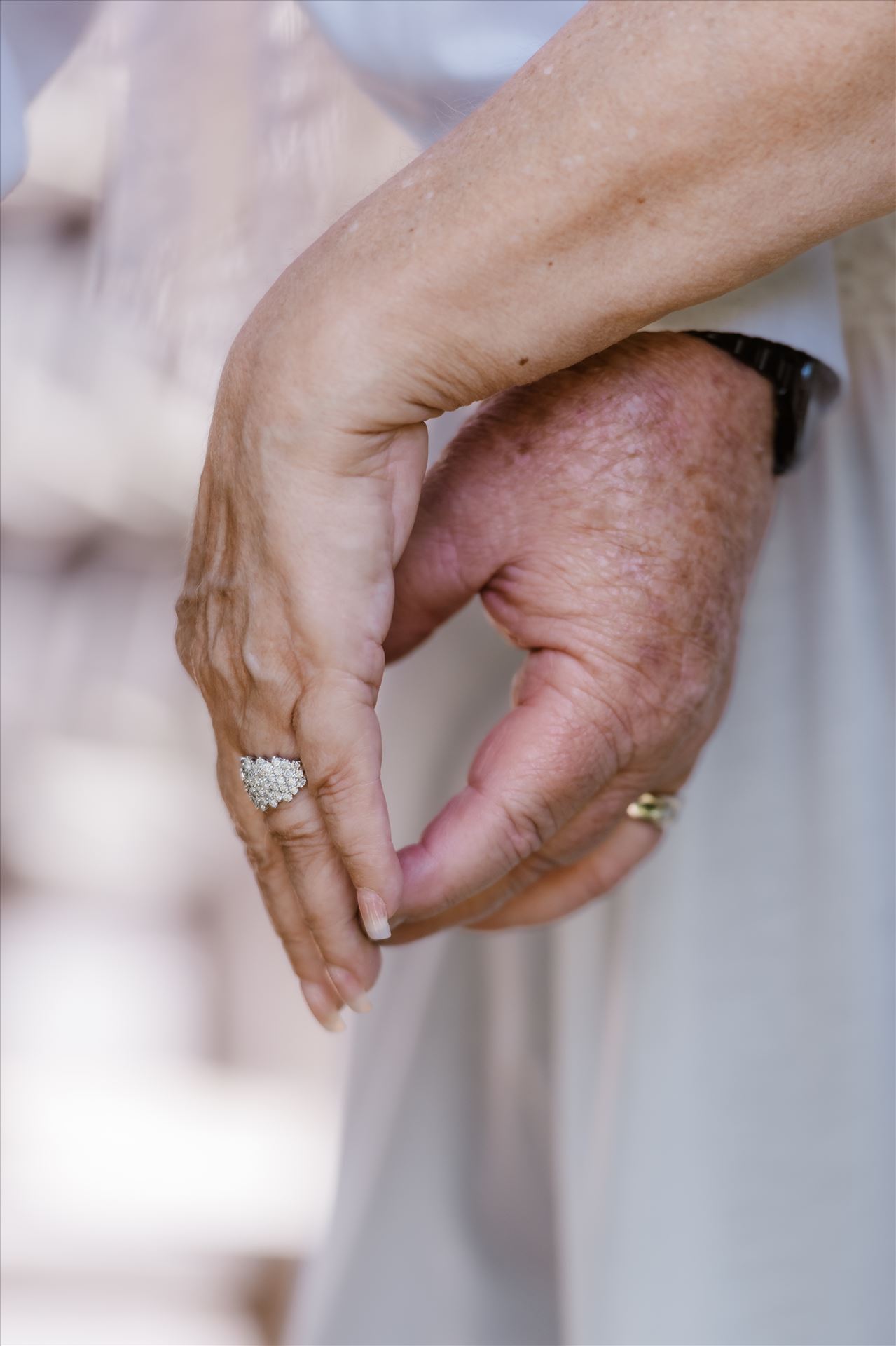 Final-8682.jpg  by Sarah Williams