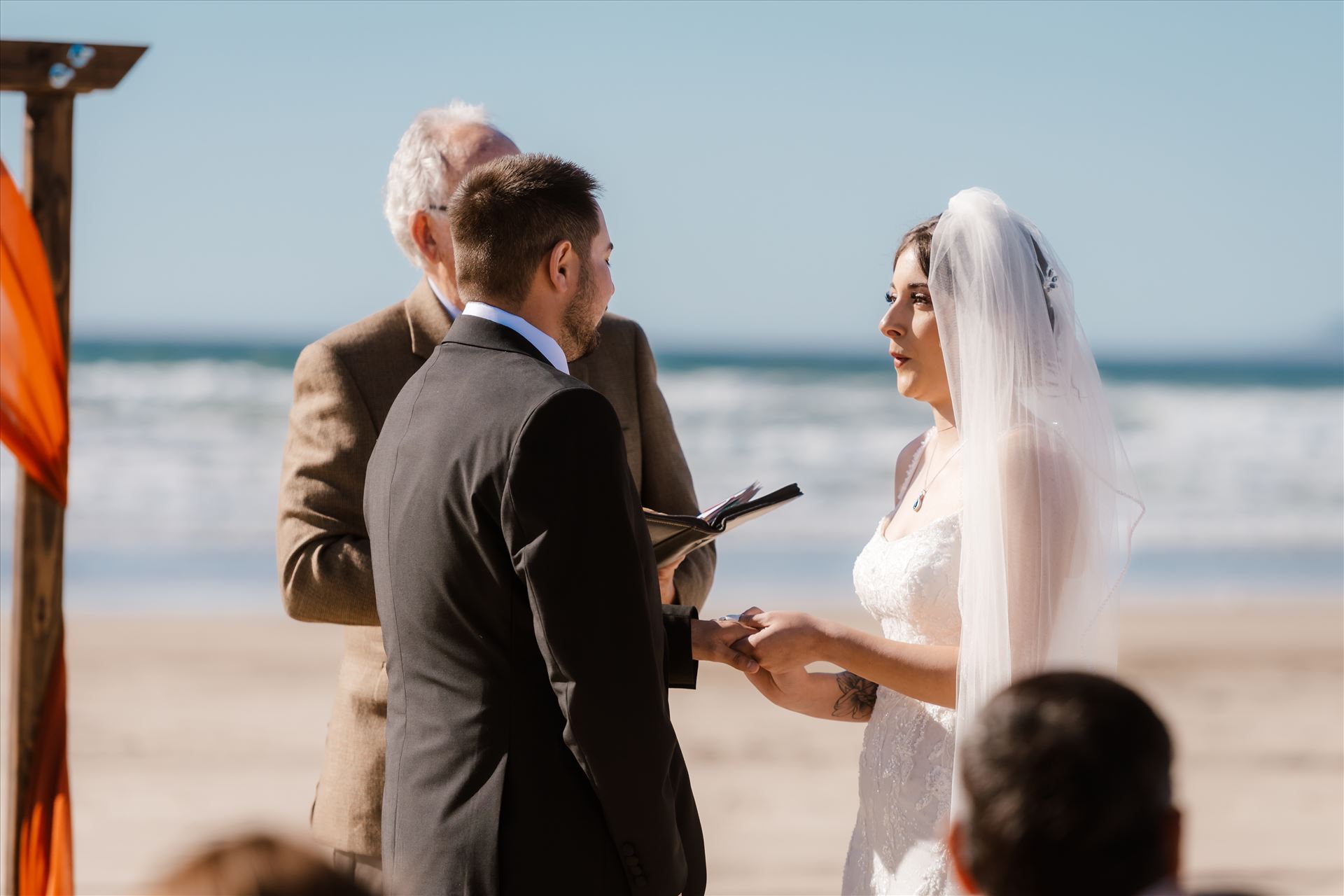 Final-4313.jpg  by Sarah Williams